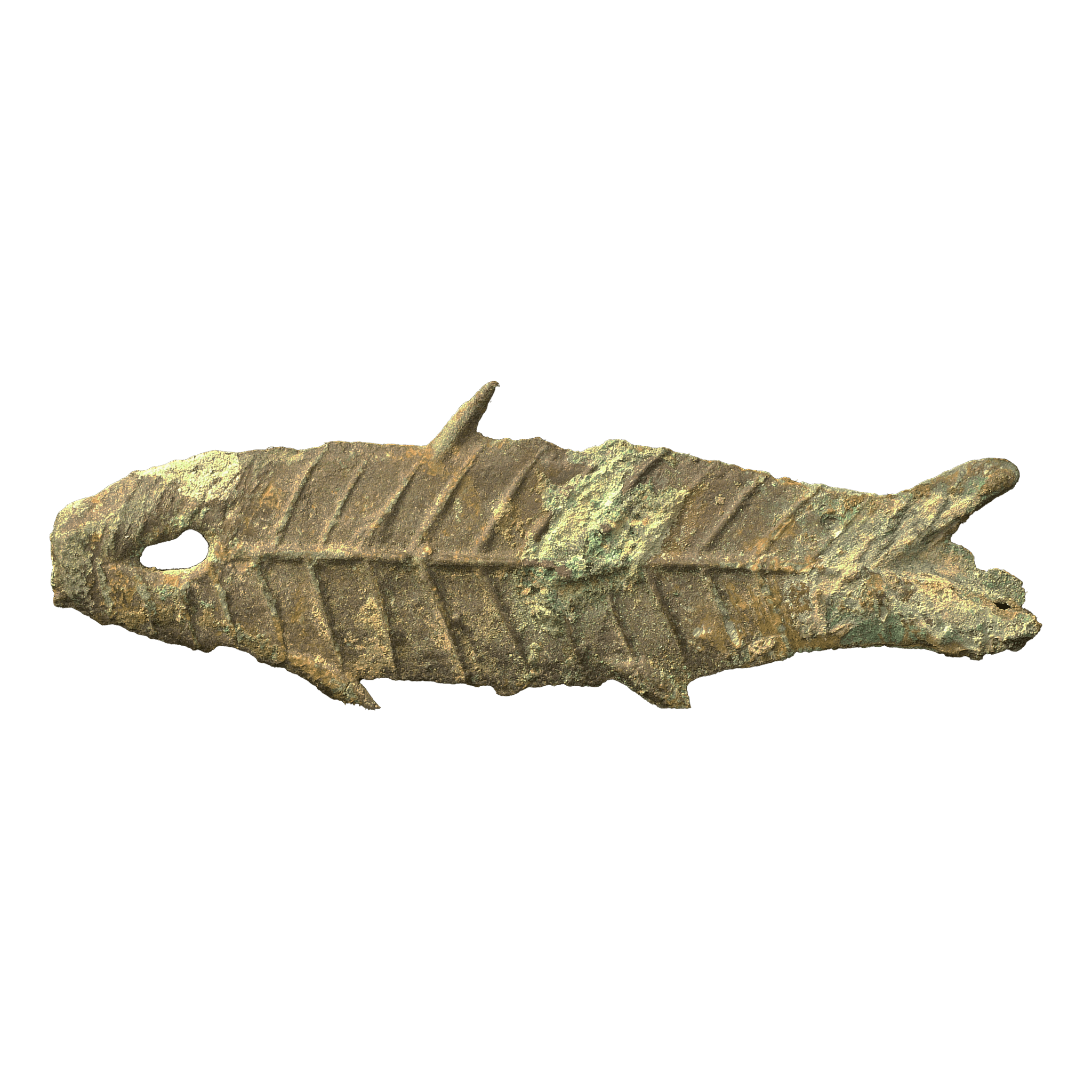 古代中国 青銅魚幣 西周時代 前1046年~前771年頃 - NJ BUYER'S MARKETPLACE