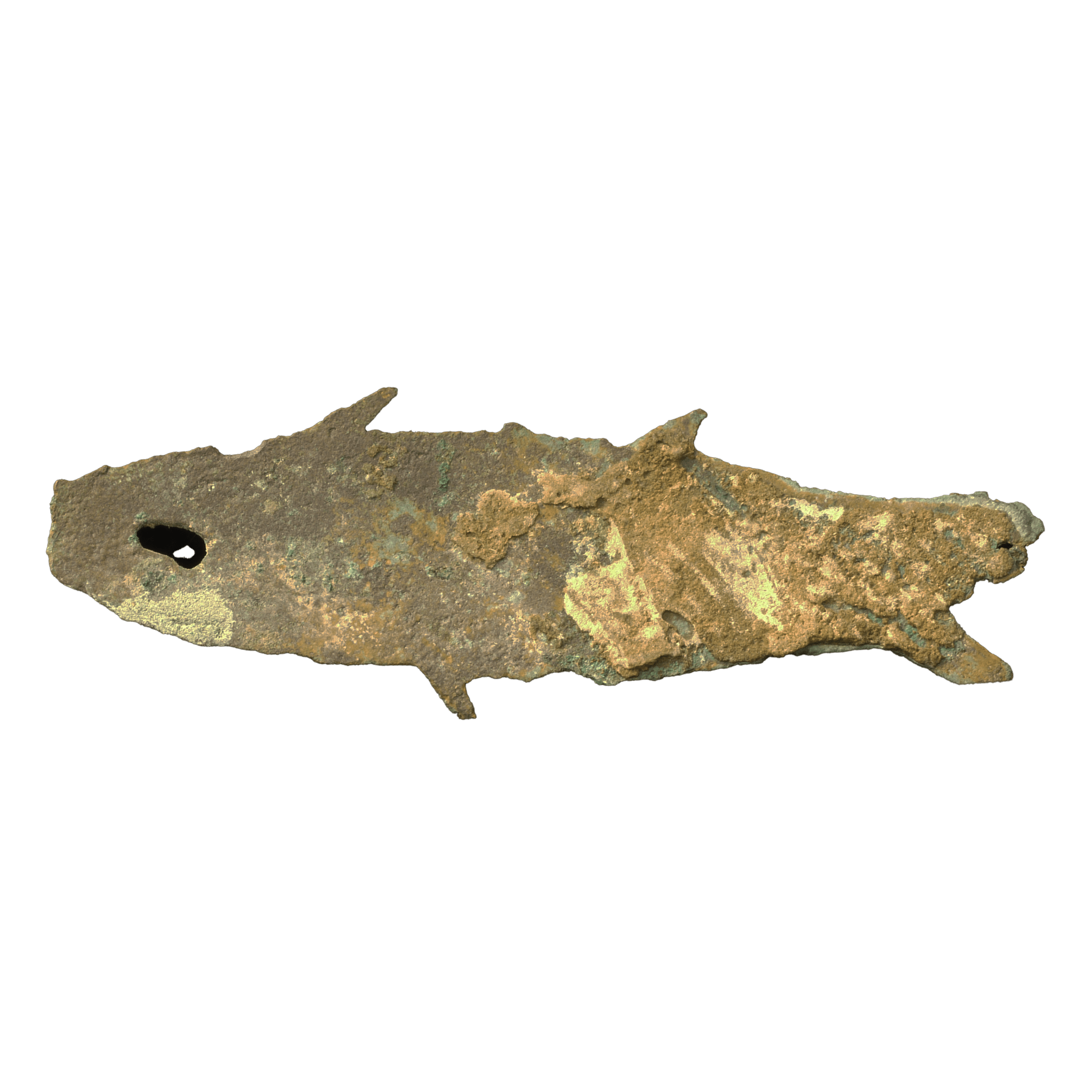 古代中国 青銅魚幣 西周時代 前1046年~前771年頃 - NJ BUYER'S MARKETPLACE