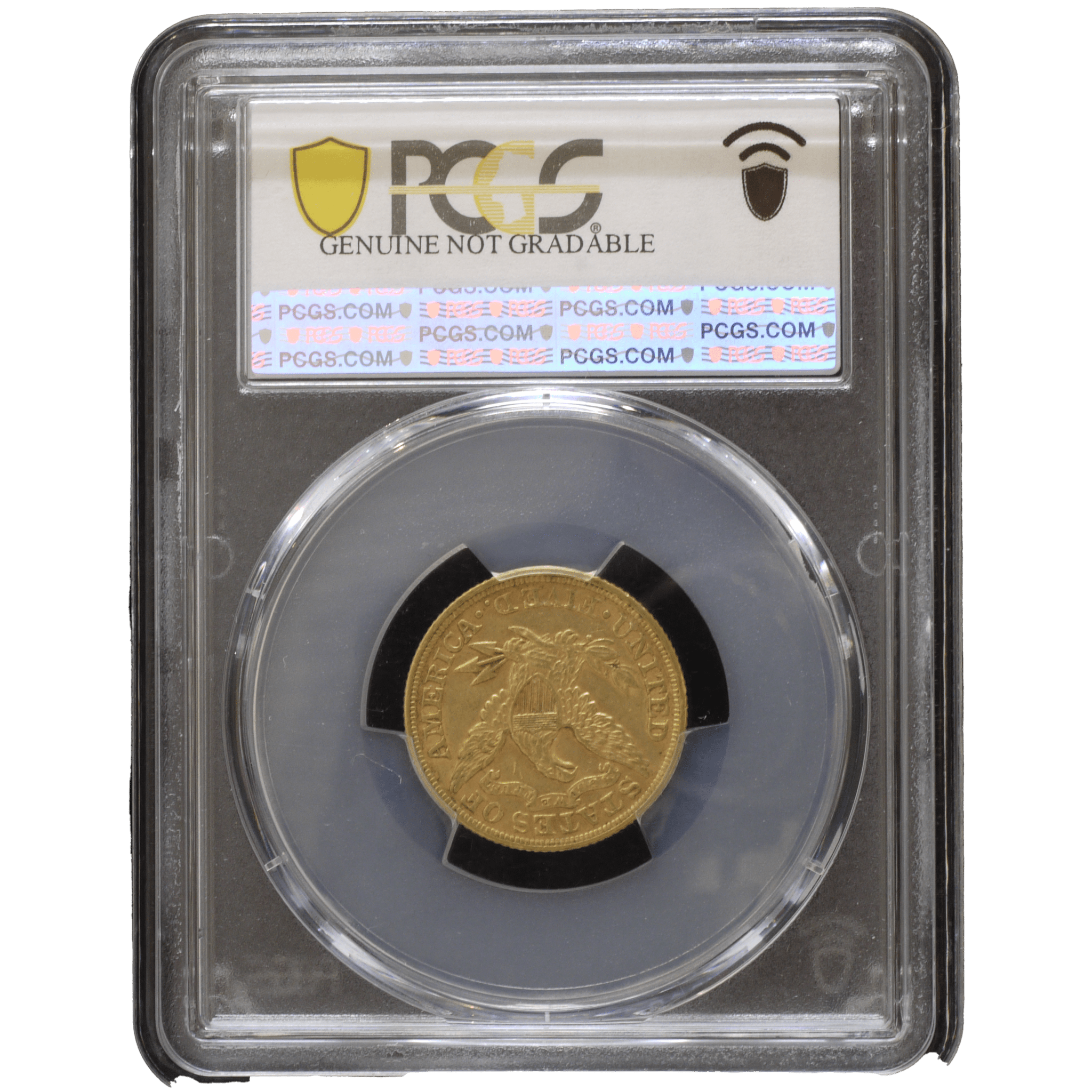 アメリカ 5ドル金貨 1894年 PCGS AU Details リバティ女神 フィラデルフィア鋳 - NJ BUYER'S MARKETPLACE