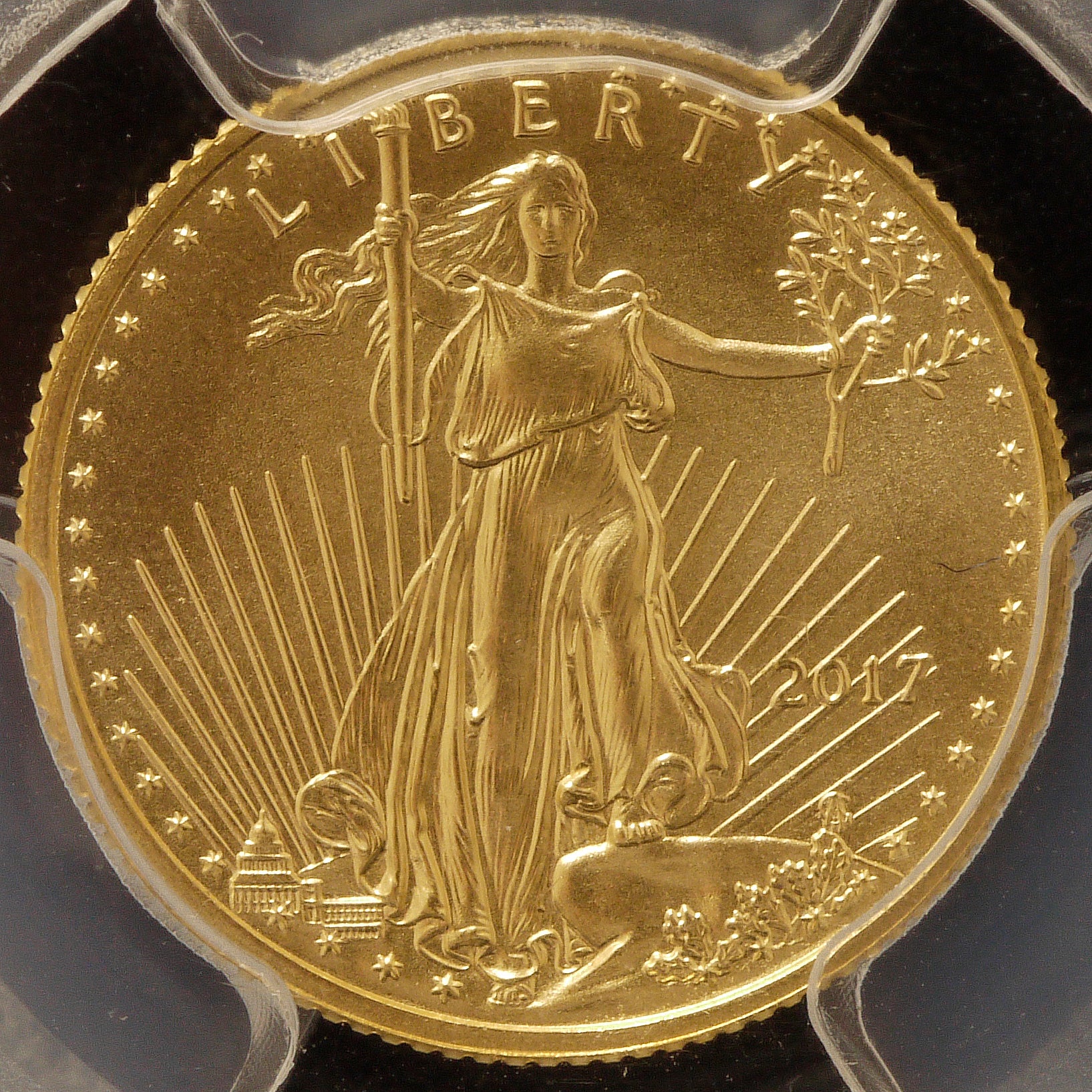 アメリカ 5ドル金貨 2017年 イーグル PCGS MS70 First Strike - NJ BUYER'S MARKETPLACE
