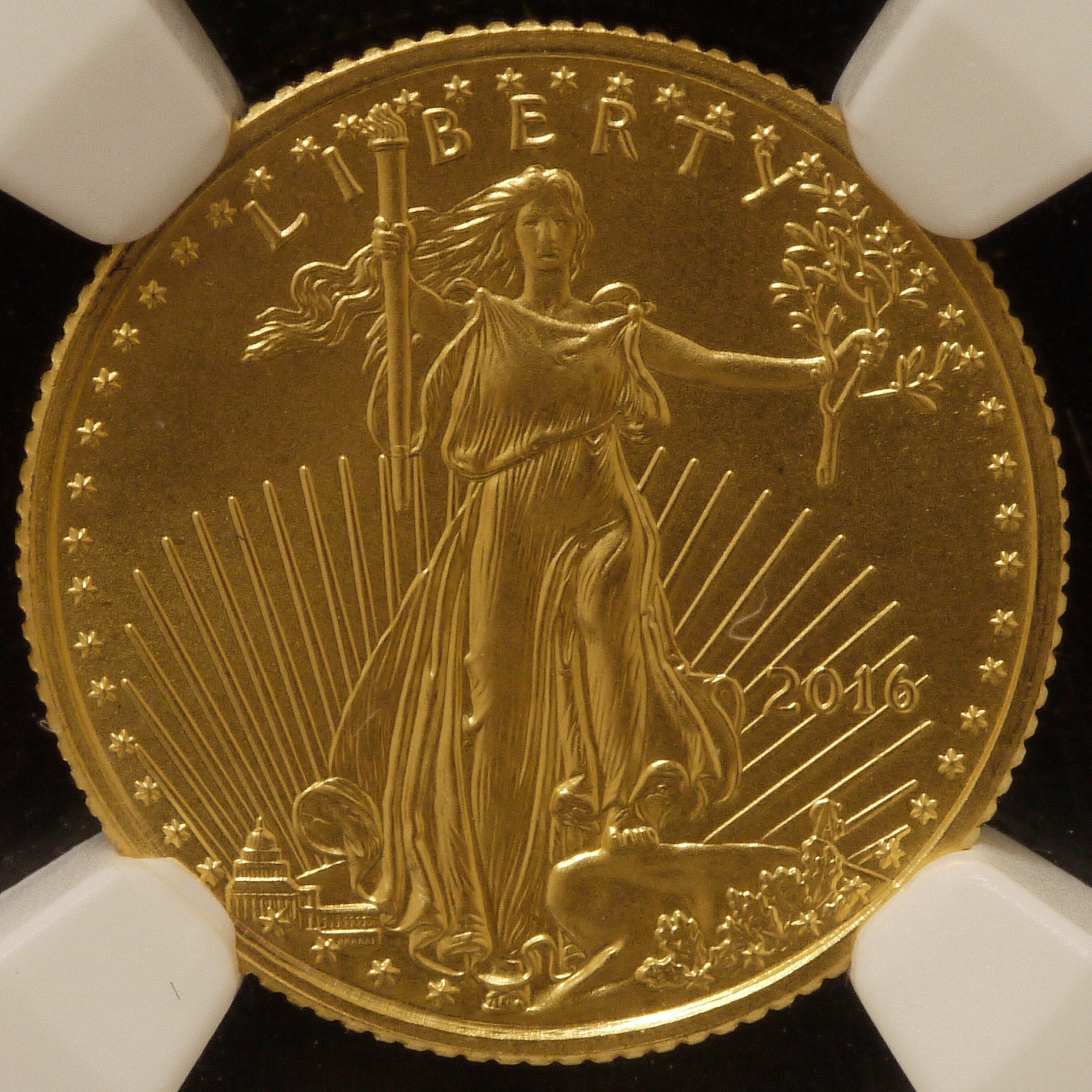 アメリカ 5ドル金貨 2016年 NGC MS70 Early Releases - NJ BUYER'S MARKETPLACE
