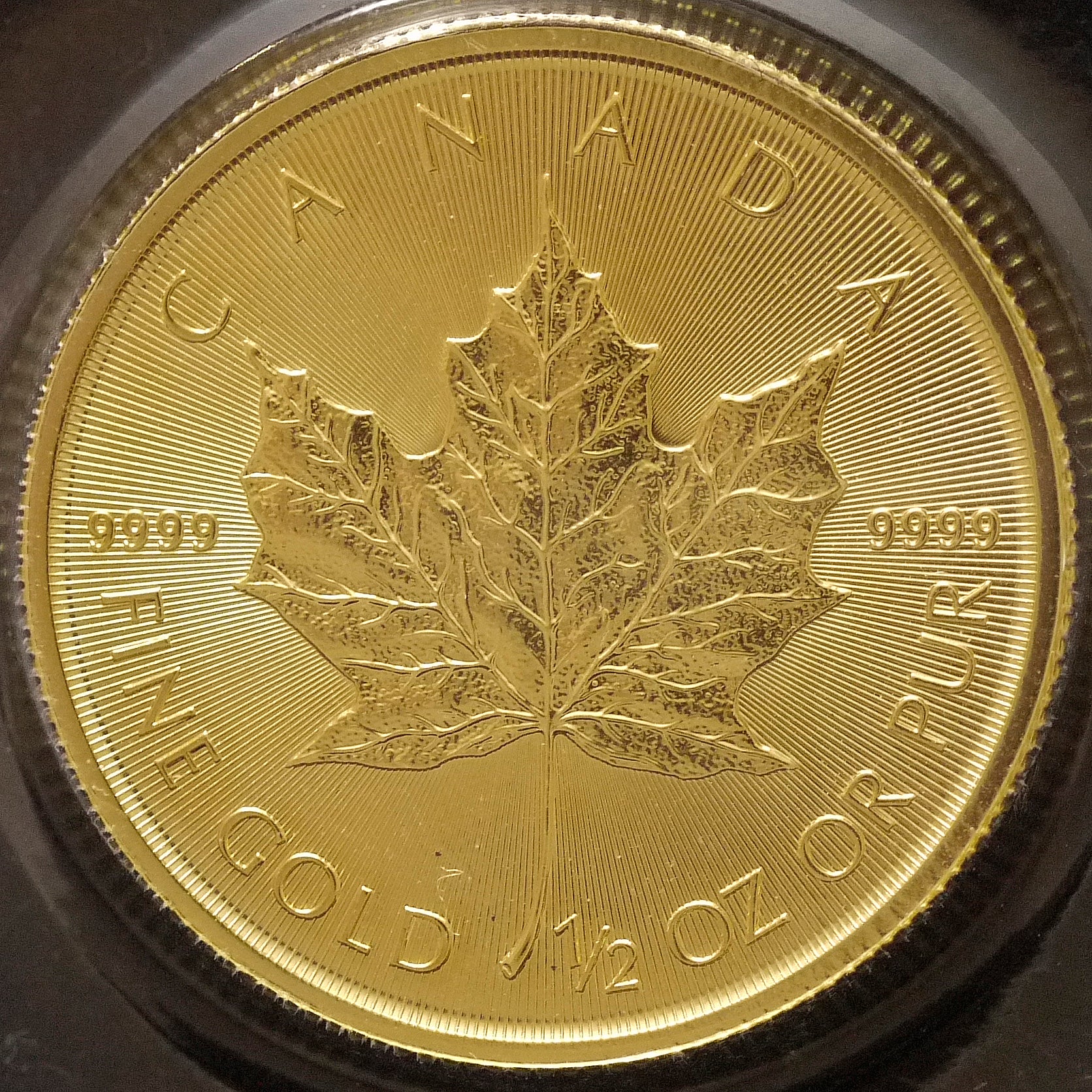 カナダ 20ドル金貨 2023年 オタワ鋳 エリザベス2世 メイプルリーフ｜NJ
