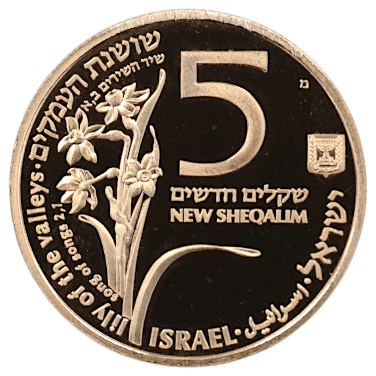 イスラエル 5ニューシェケル金貨 1992年 - NJ BUYER'S MARKETPLACE