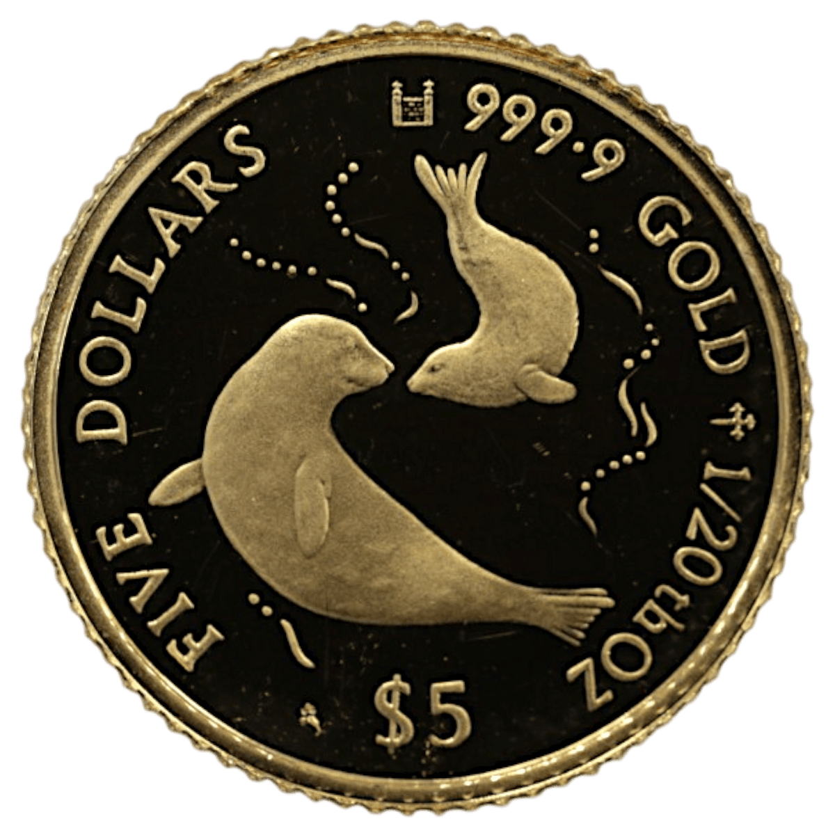 クック島 5ドル金貨 1997年 アザラシ エリザベス2世 - NJ BUYER'S MARKETPLACE