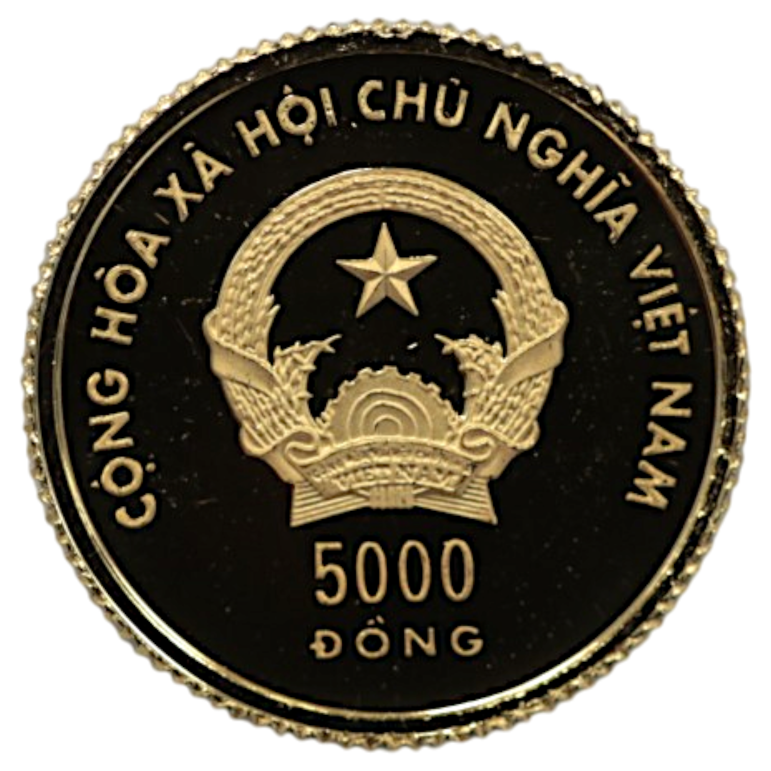 ベトナム 5000ドン金貨 2004年 干支 猿