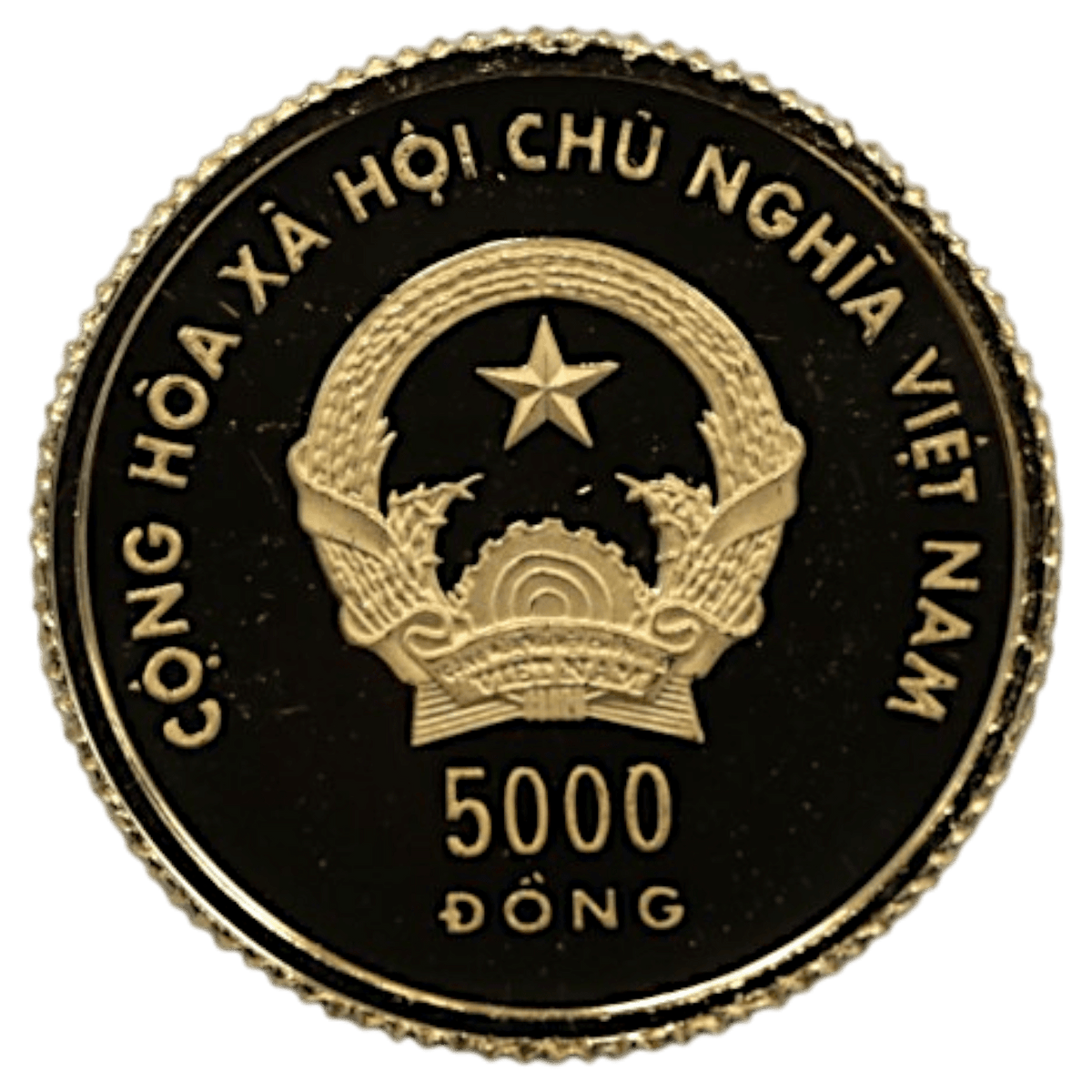 ベトナム 5000ドン金貨 2004年 干支 猿 - NJ BUYER'S MARKETPLACE
