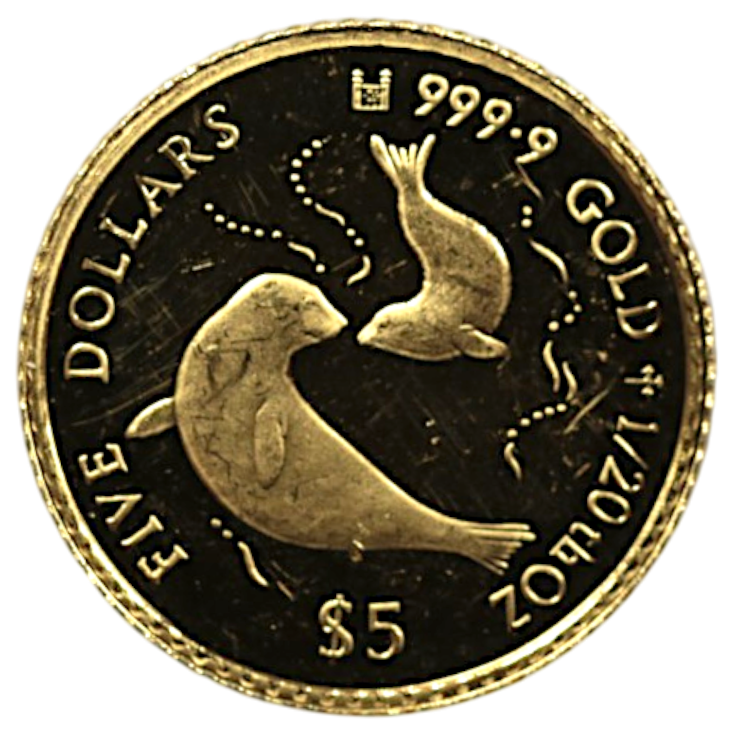 クック島 5ドル金貨 1997年 アシカ エリザベス2世
