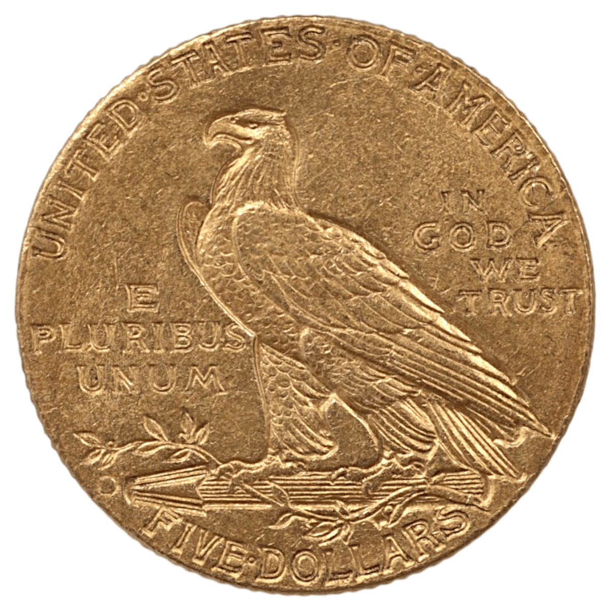 アメリカ 5ドル金貨 1909年 デンバー鋳 インディアン - NJ BUYER'S MARKETPLACE