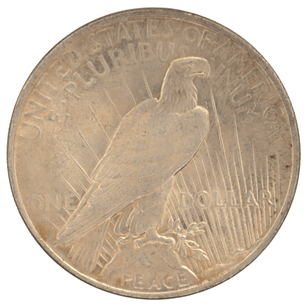 アメリカ 1ドル銀貨 7枚セット ピースダラー - NJ BUYER'S MARKETPLACE