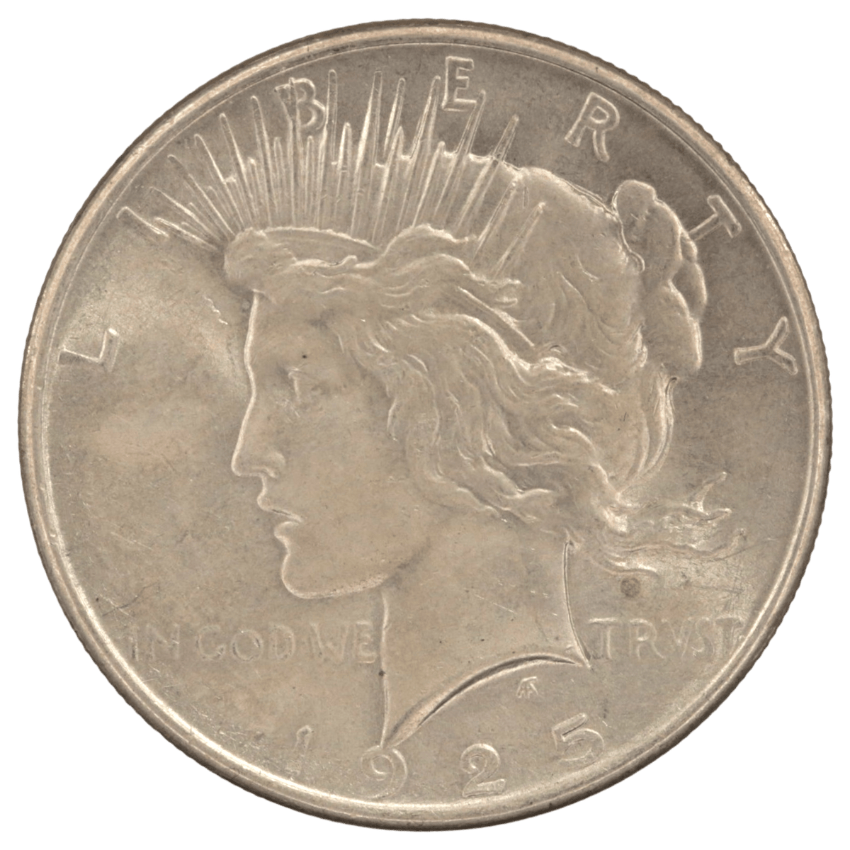 アメリカ 1ドル銀貨 7枚セット ピースダラー - NJ BUYER'S MARKETPLACE