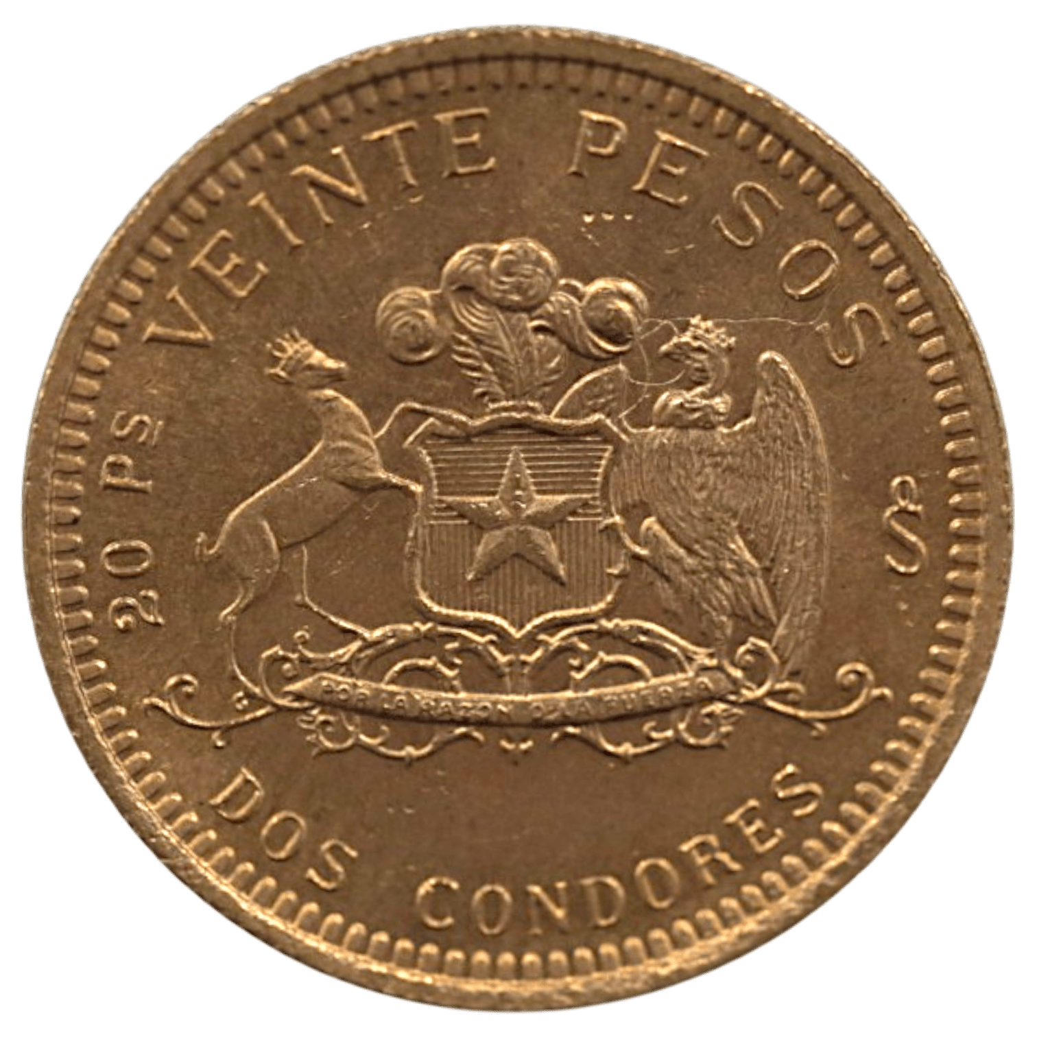 チリ 20ペソ金貨 1976年 サンティアゴ鋳 女性像 チリ国章 - NJ BUYER'S MARKETPLACE