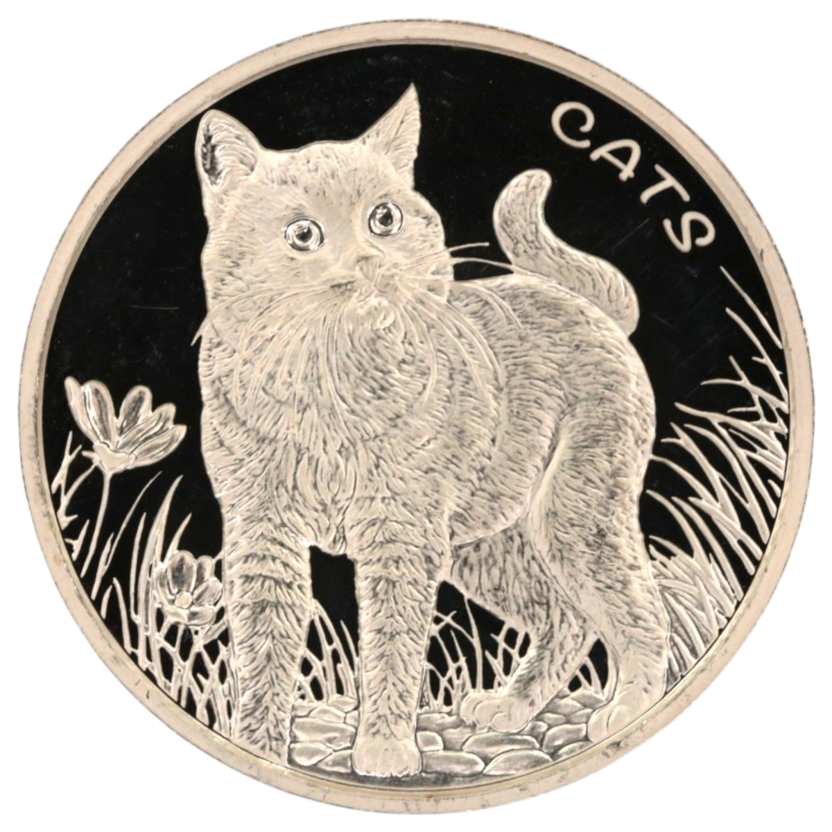 フィジー 50セント銀貨 2021年 キャット