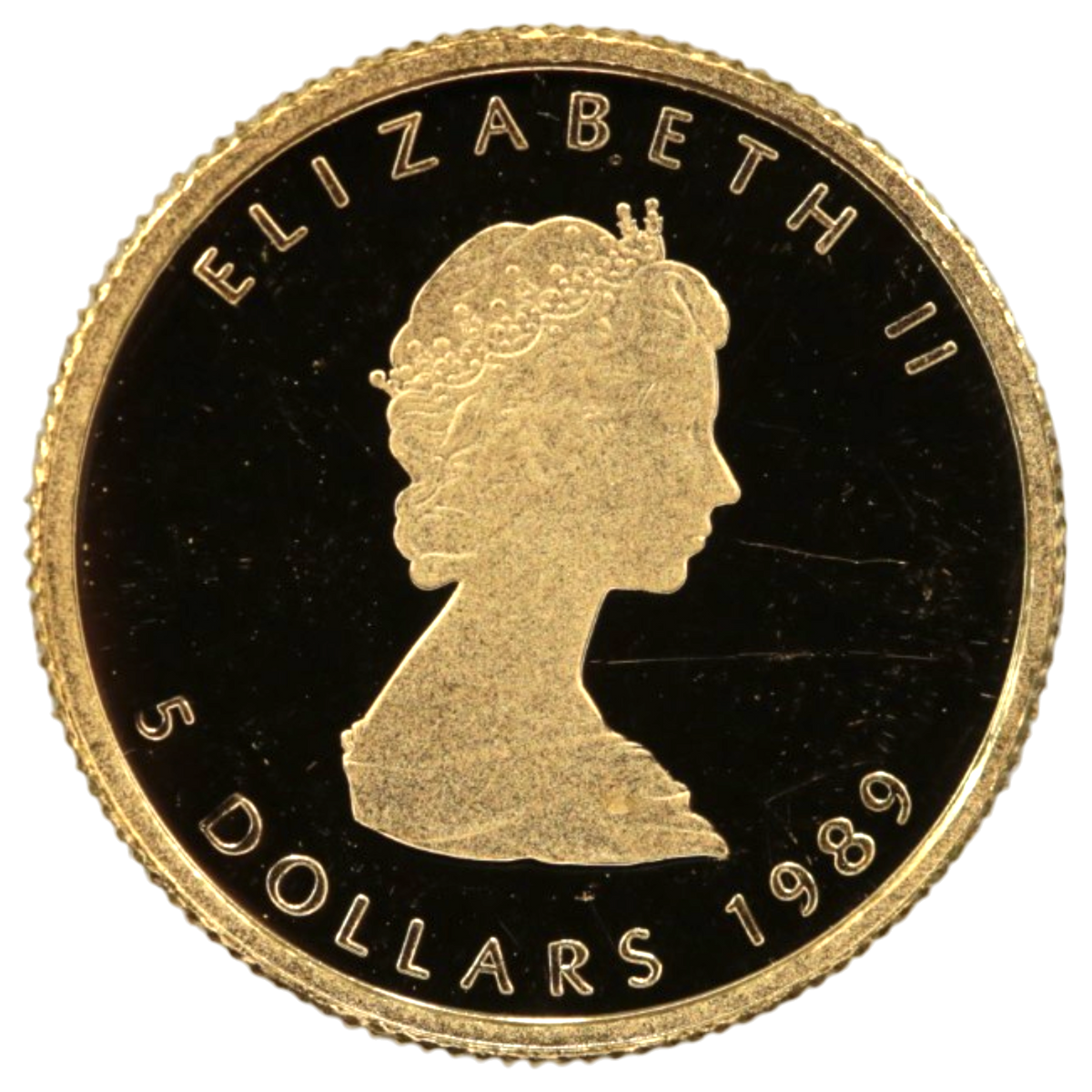 カナダ 5ドル金貨 1989年 メイプルリーフ プルーフ