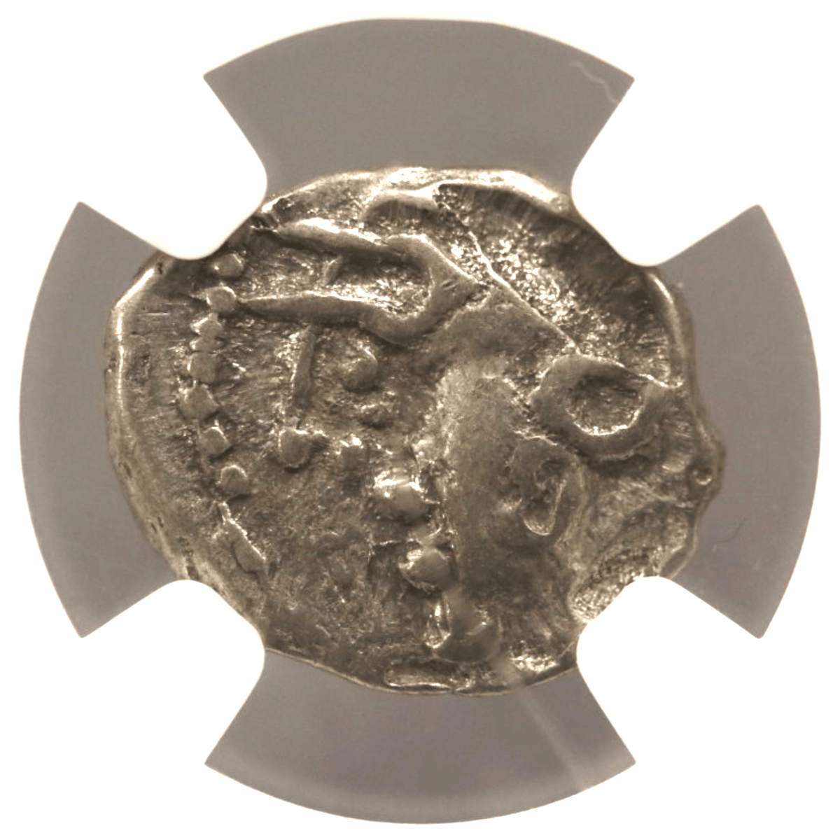ガリア クィナリウス銀貨 前1世紀中期 アエドゥイ族 NGC Ch-VF - NJ BUYER'S MARKETPLACE
