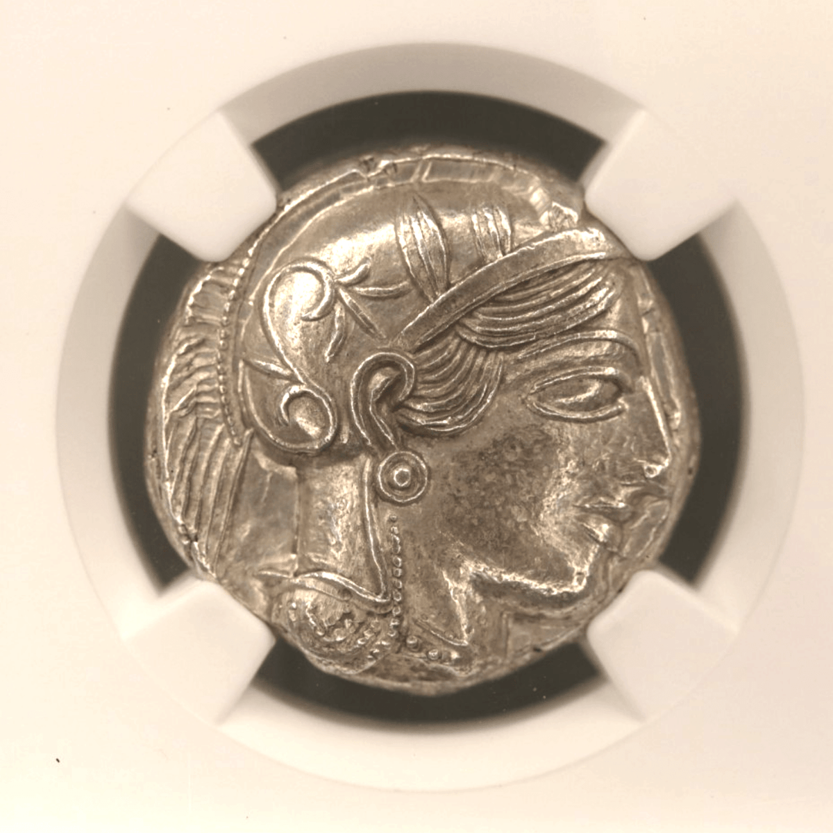 アテナイ テトラドラクマ銀貨 前440~前404年頃 コキンメフクロウ NGC MS 5/5 3/5 - NJ BUYER'S MARKETPLACE