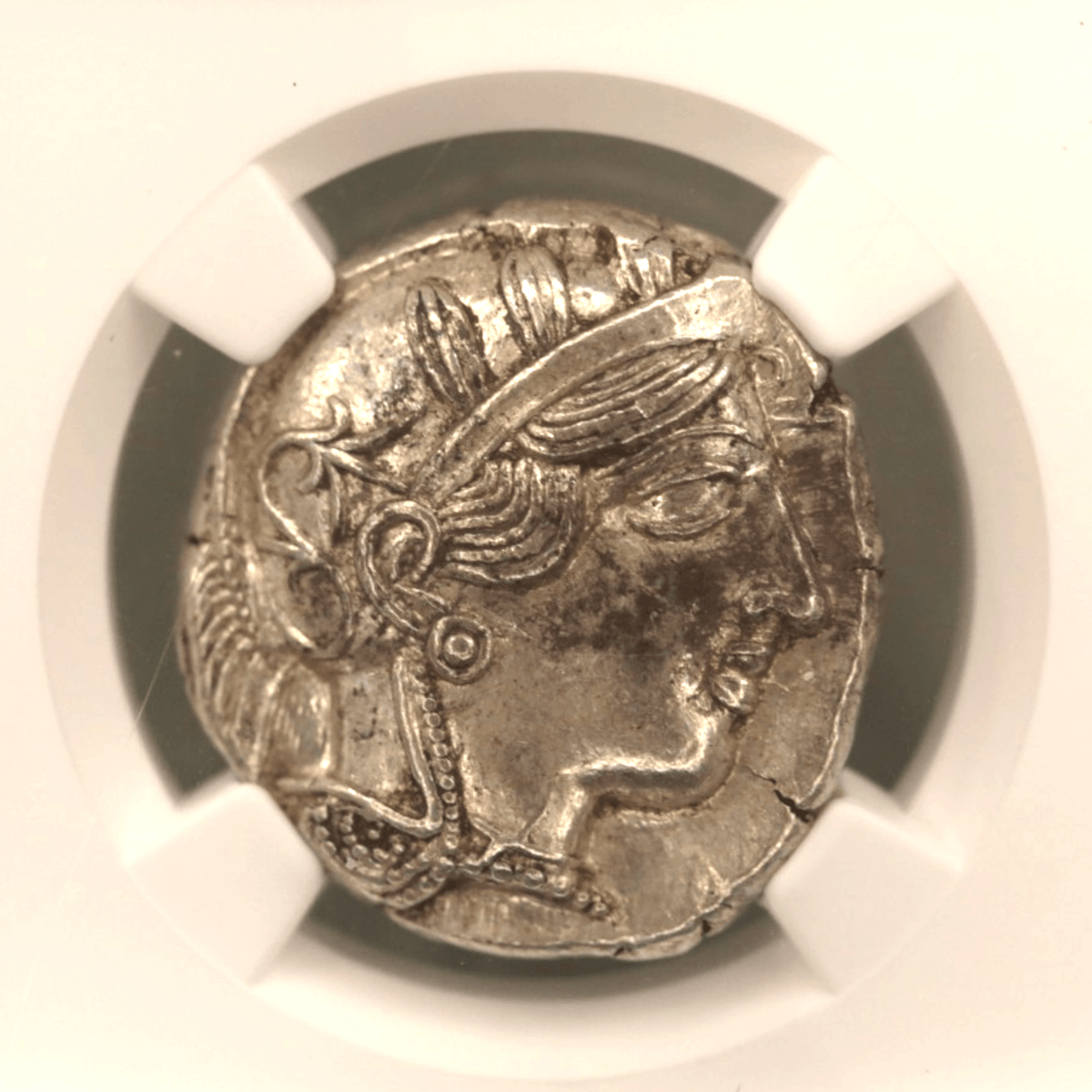 アテナイ テトラドラクマ銀貨 コキンメフクロウ NGC MS 5/5 4/5 - NJ BUYER'S MARKETPLACE