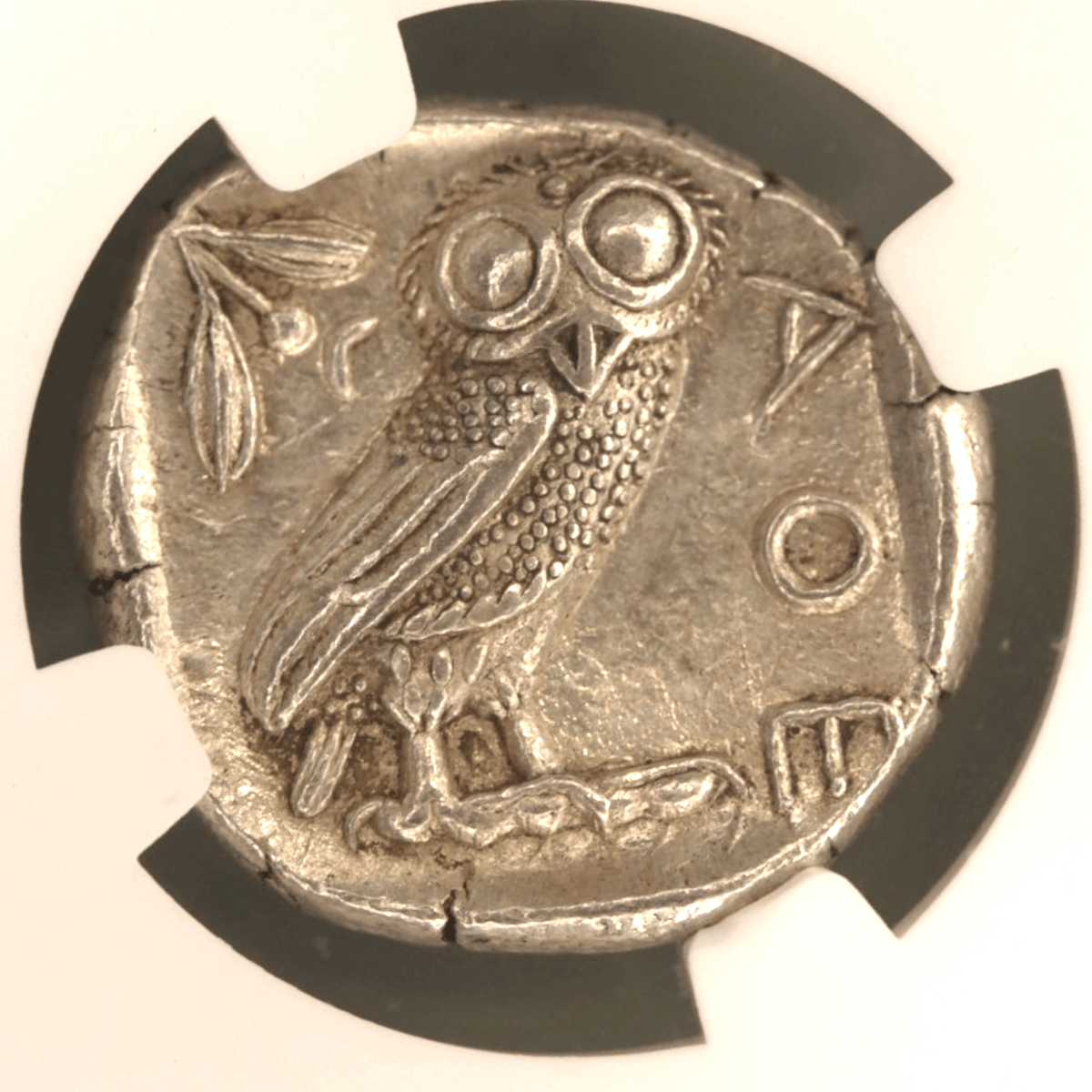 アテナイ テトラドラクマ銀貨 コキンメフクロウ NGC MS 5/5 4/5 - NJ BUYER'S MARKETPLACE