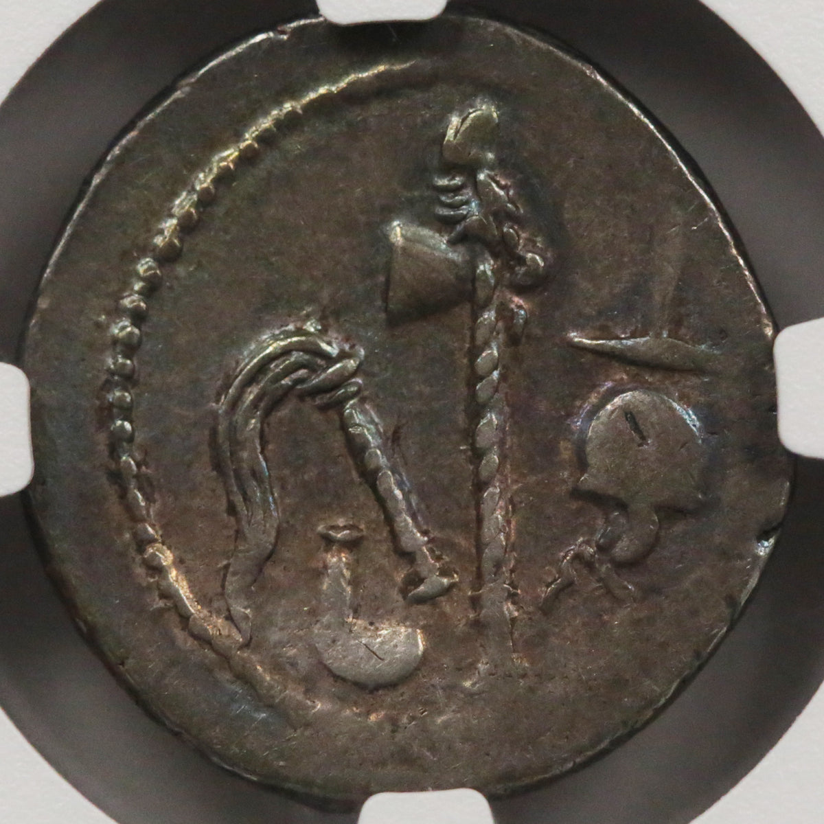 ローマ デナリウス銀貨 前49~前48年頃 ガイウス・ユリウス・カエサル NGC Ch-VF 5/5 4/5