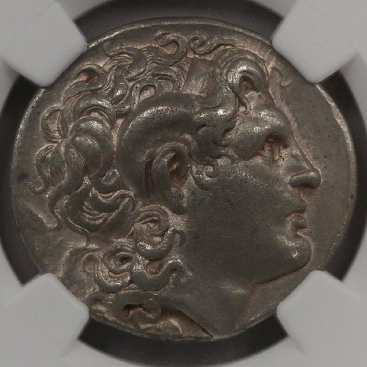 トラキア テトラドラクマ銀貨 前305~前281年 アレクサンドロス大王 NGC Ch-VF 5/5 3/5