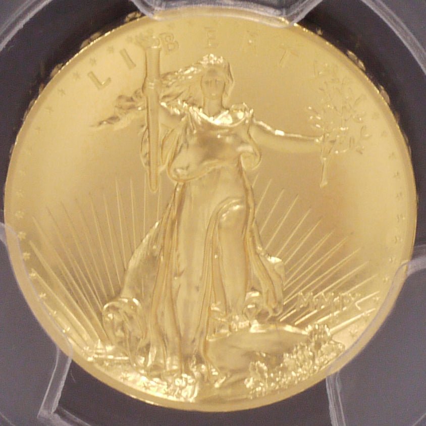 アメリカ 20ドル金貨 2009年 ウルトラハイレリーフ PCGS MS69 - NJ BUYER'S MARKETPLACE