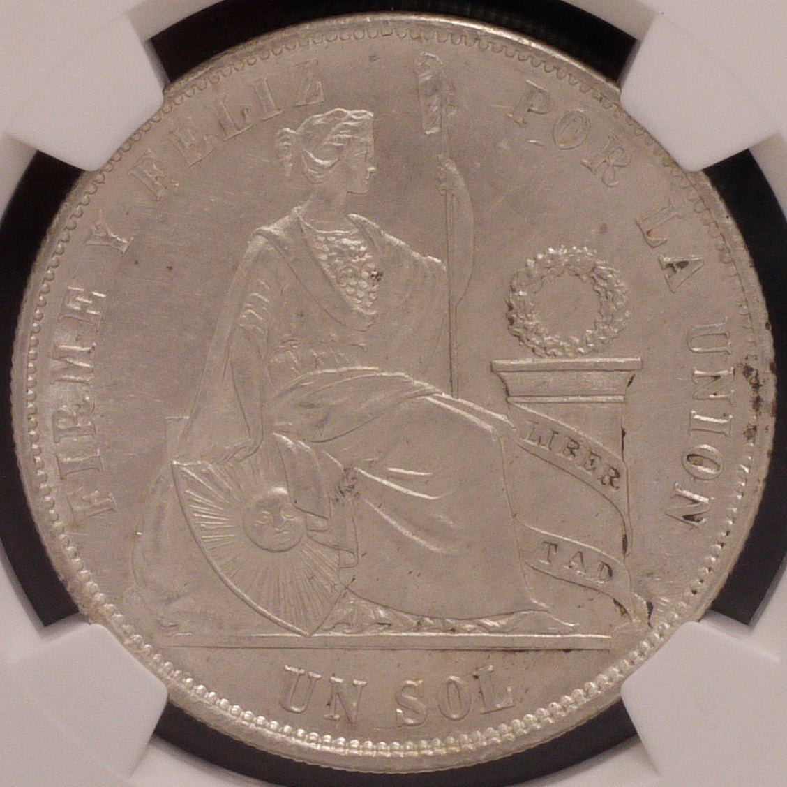 ペルー ソル銀貨 1874年 リバティ NGC UNC DETAILS - NJ BUYER'S MARKETPLACE