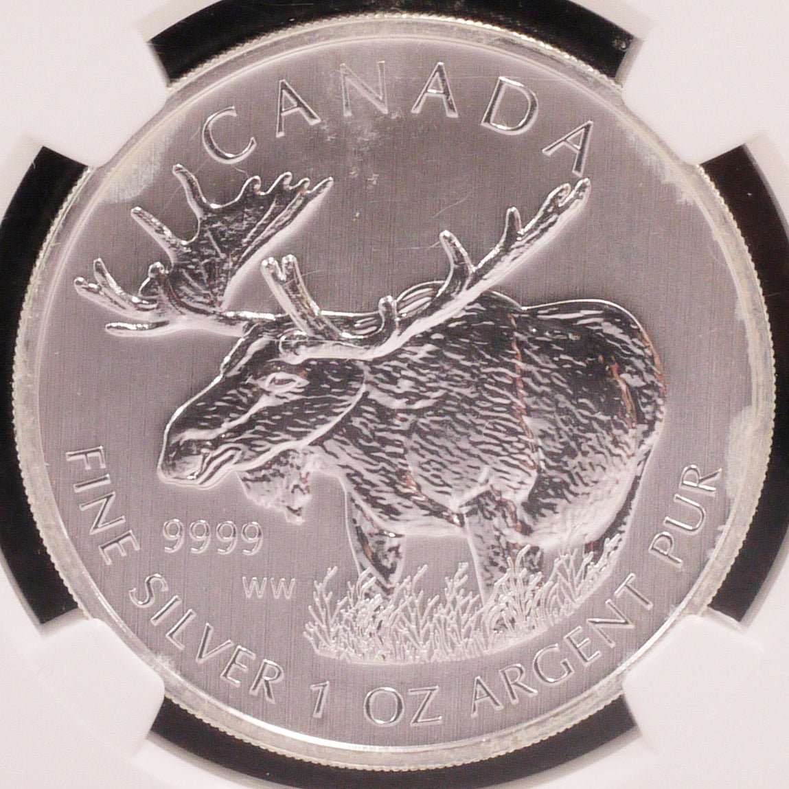 カナダ 5ドル銀貨 2012年 ムース NGC MS69 EARLY RELEASE - NJ BUYER'S MARKETPLACE