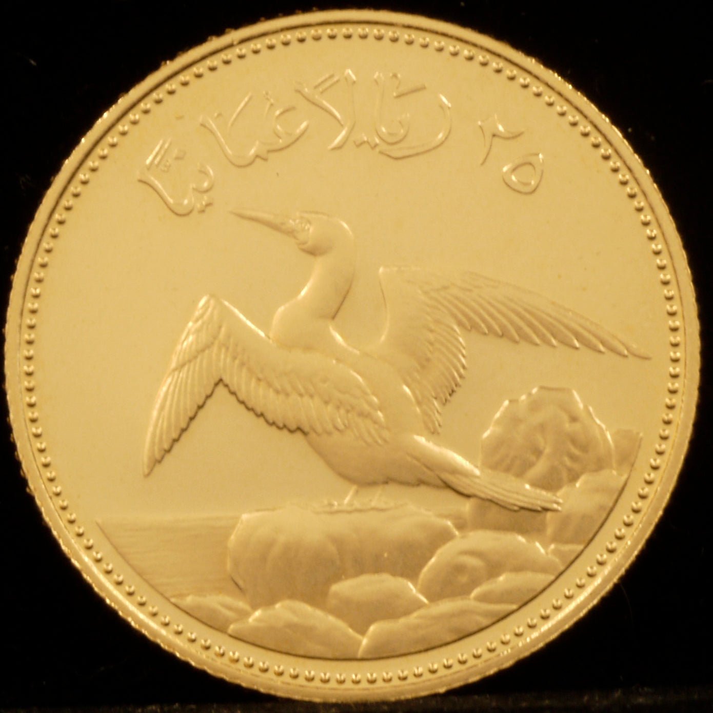オマーン 25リアル金貨 1987年 アオツラカツオドリ - NJ BUYER'S MARKETPLACE