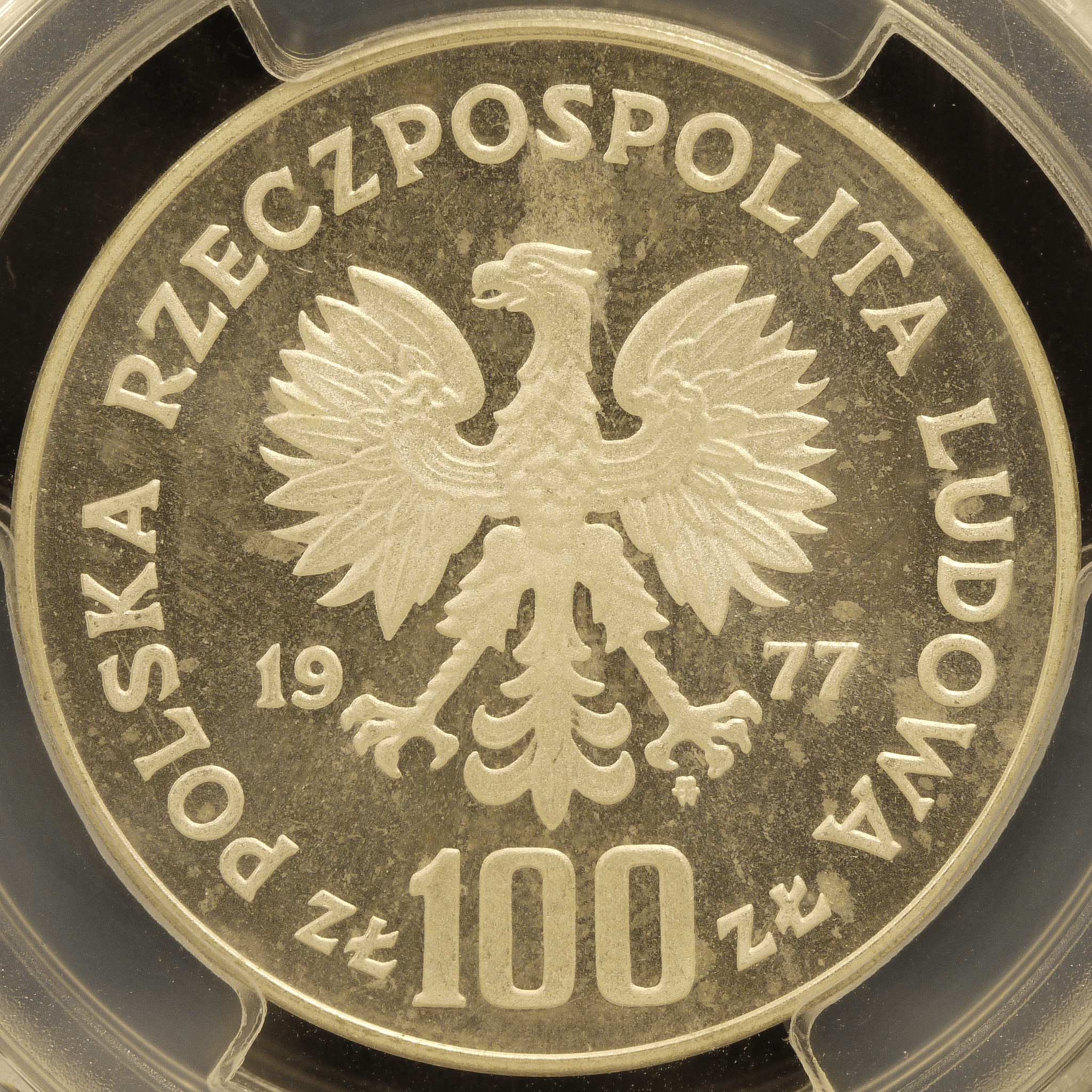 ポーランド 100ズウォティ試作銀貨 1977年 ナマズ PCGS SP67 - NJ BUYER'S MARKETPLACE