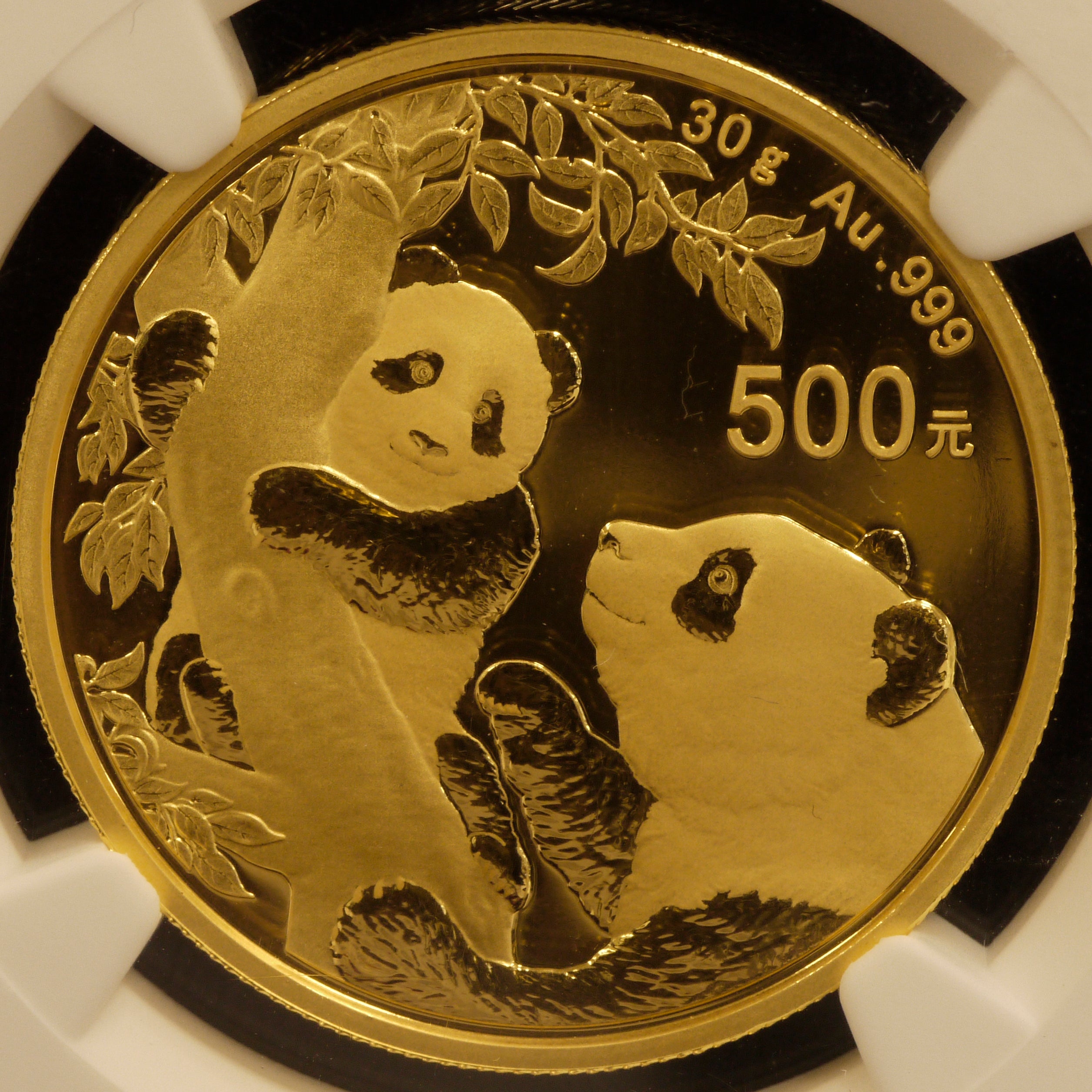 中国 500元金貨 2021 パンダ NGC MS70 First Releases 最高鑑定