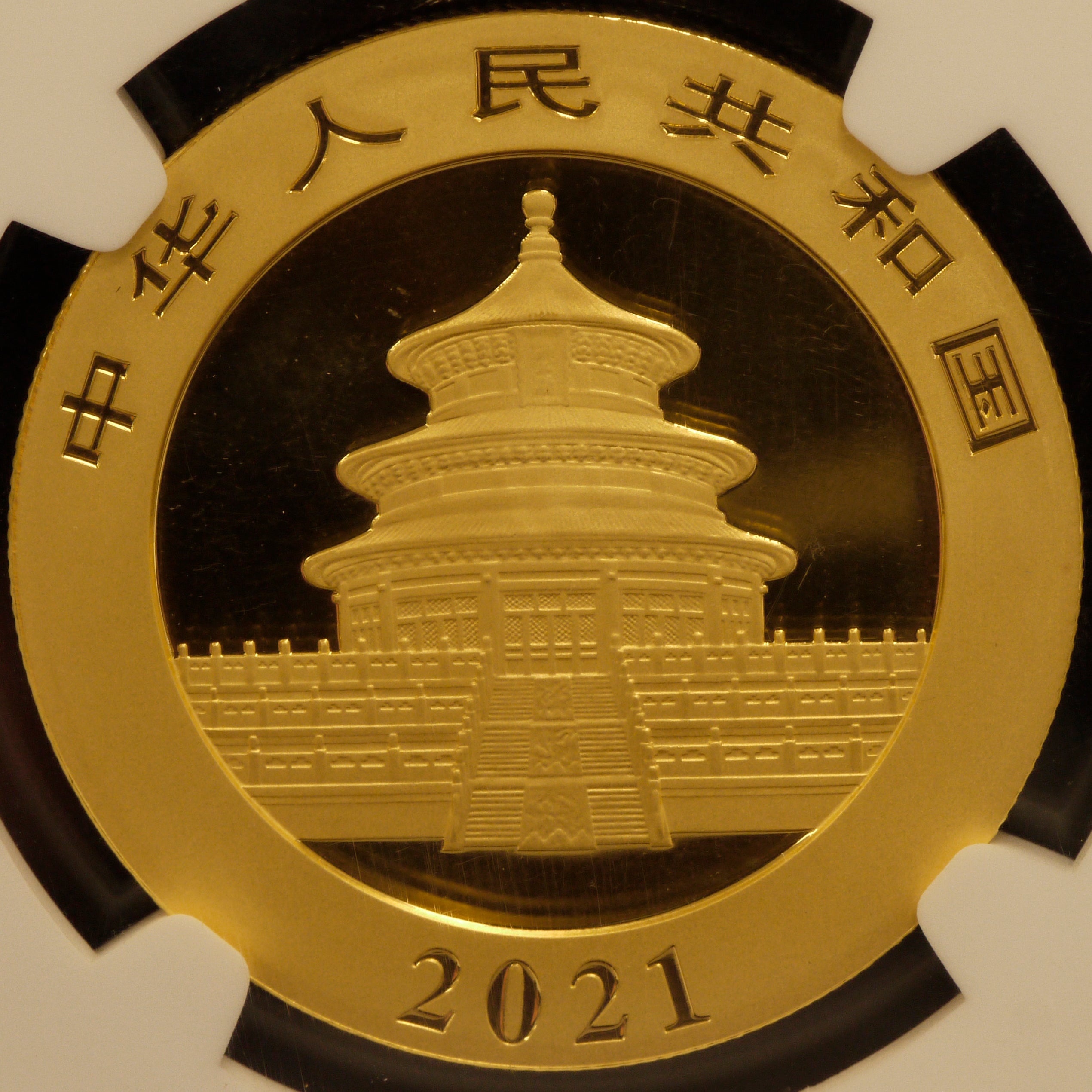 中国 500元金貨 2021 パンダ NGC MS70 First Releases 最高鑑定