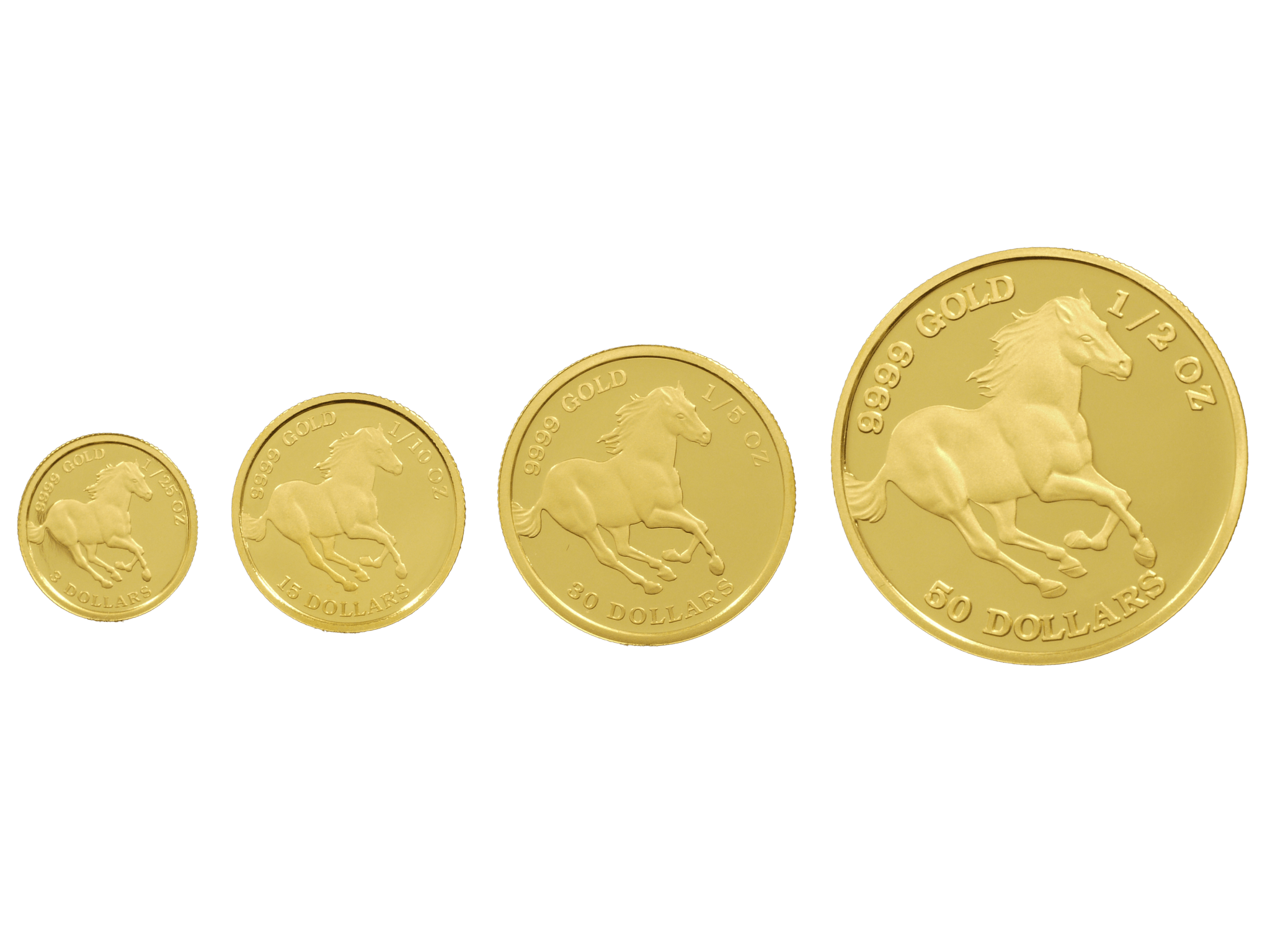 ツバル ホース 1/25オンス金貨 2024年 エリザベス2世｜NJ