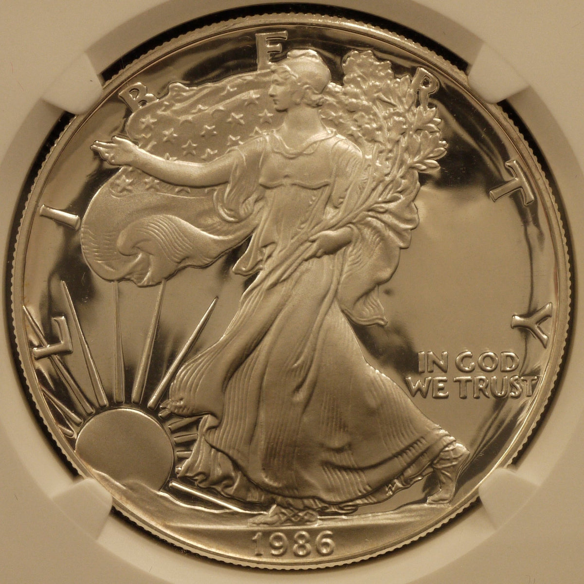 アメリカ 1ドル銀貨 1986年 イーグル NGC PF69 ULTRA CAMEO｜NJ 