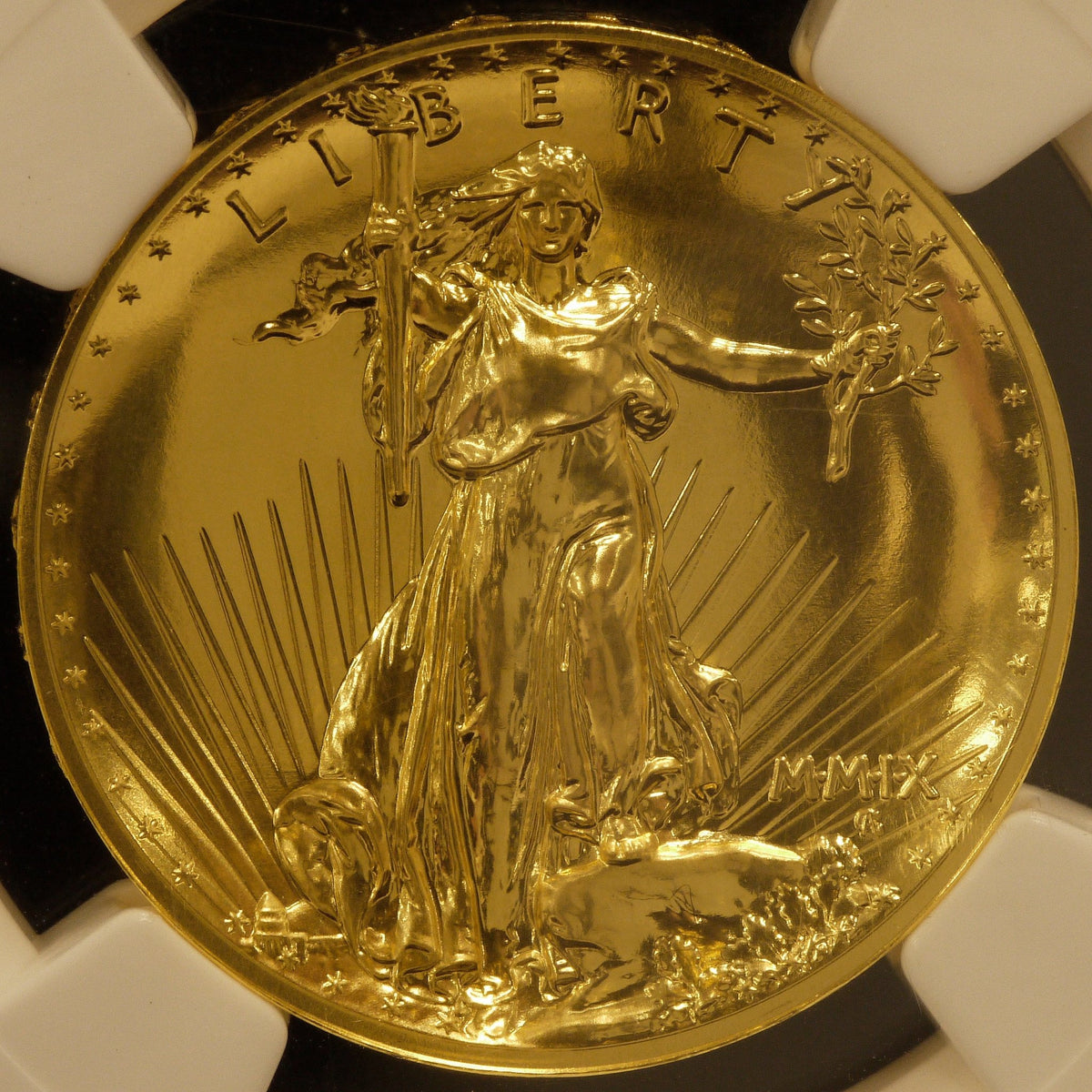 アメリカ 20ドル金貨 2009年 ウルトラハイレリーフ NGC MS70 最高鑑定 