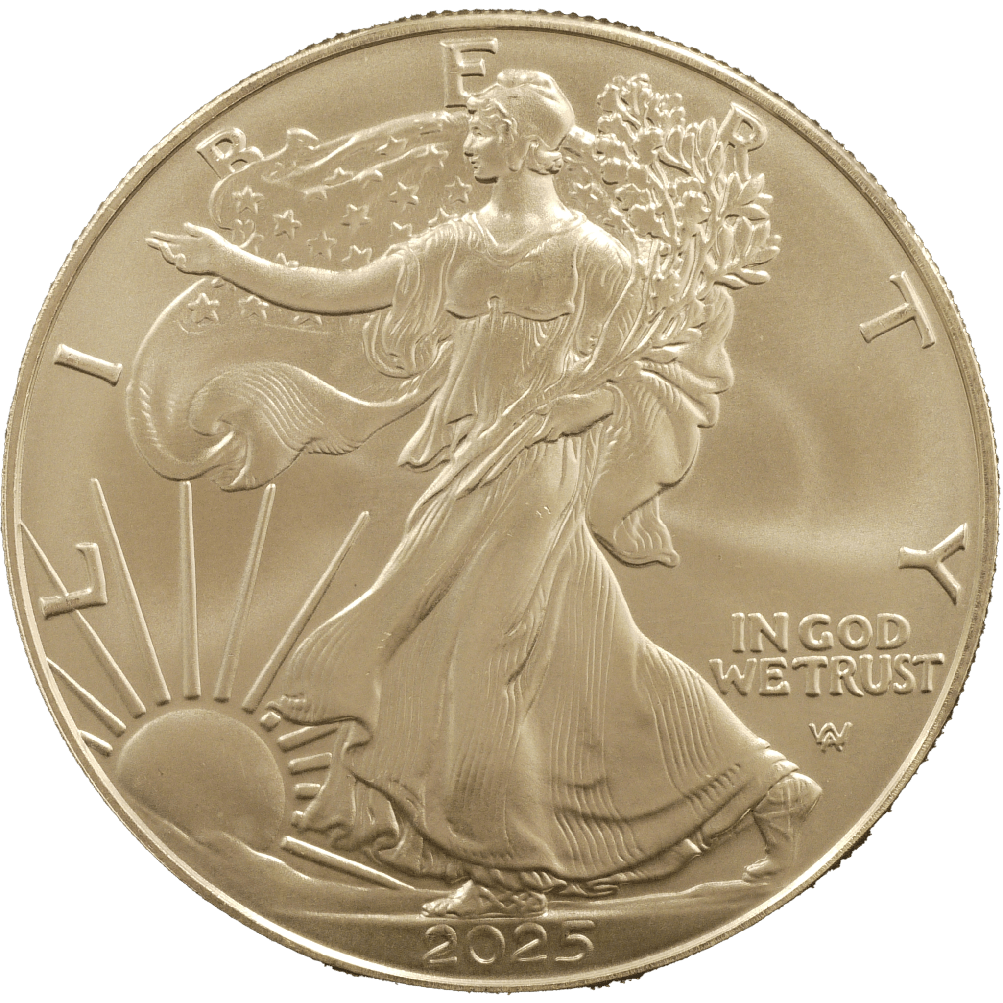 アメリカ 1oz銀貨 2025年 イーグル 最新年号 - NJ BUYER'S MARKETPLACE