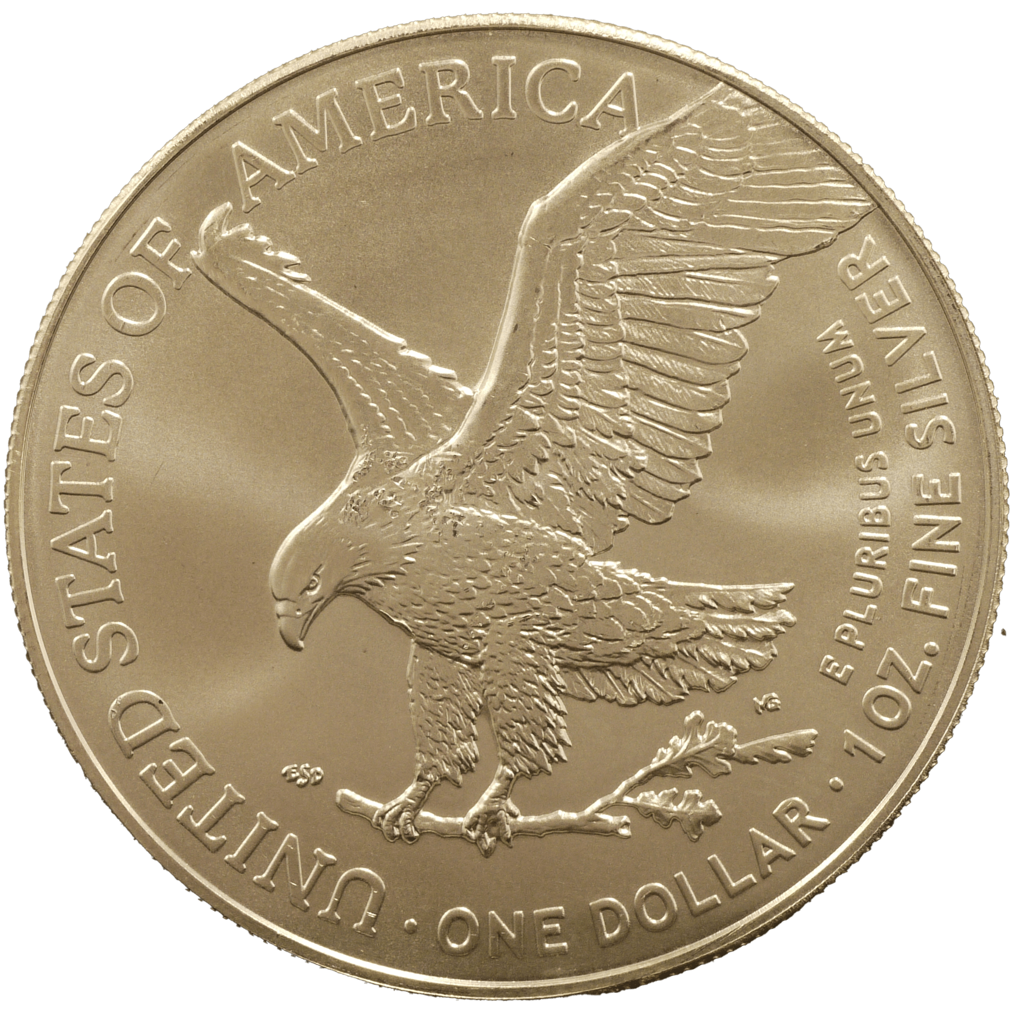 アメリカ 1oz銀貨 2025年 イーグル 最新年号 - NJ BUYER'S MARKETPLACE