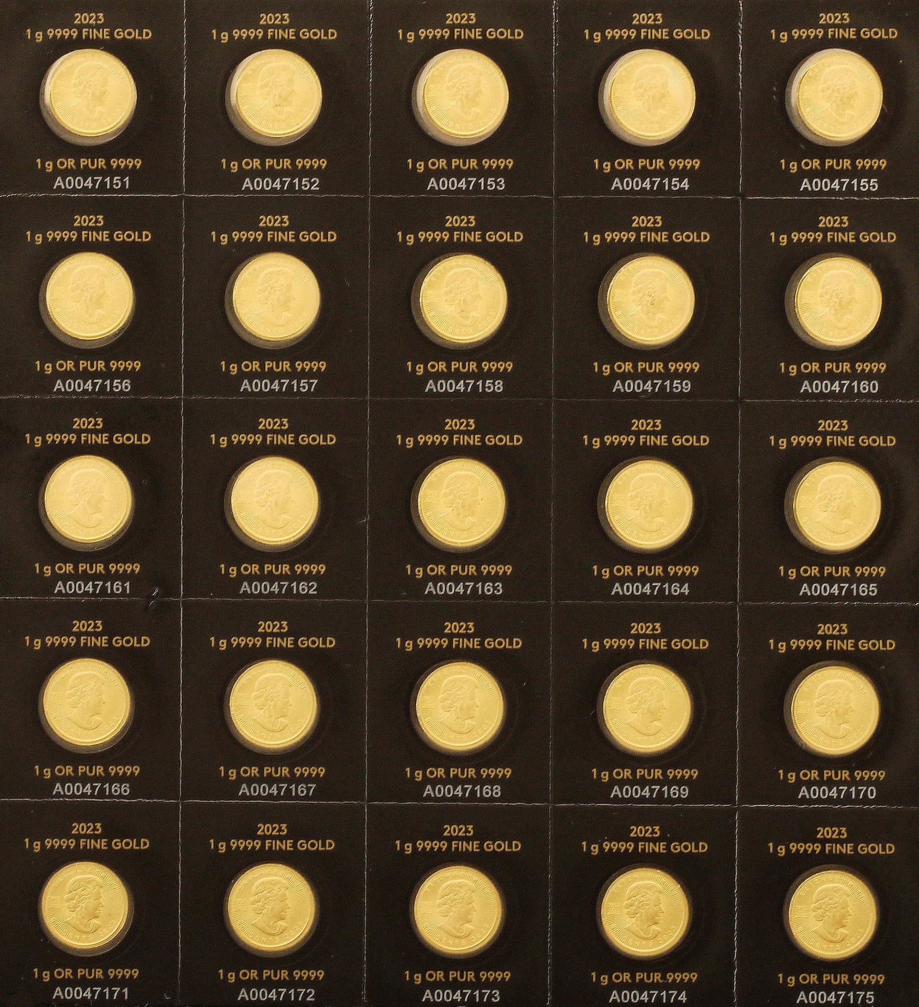 カナダ 50セント金貨 2023年 25枚組 1g×25枚 総重量25g エリザベス2世 - NJ BUYER'S MARKETPLACE