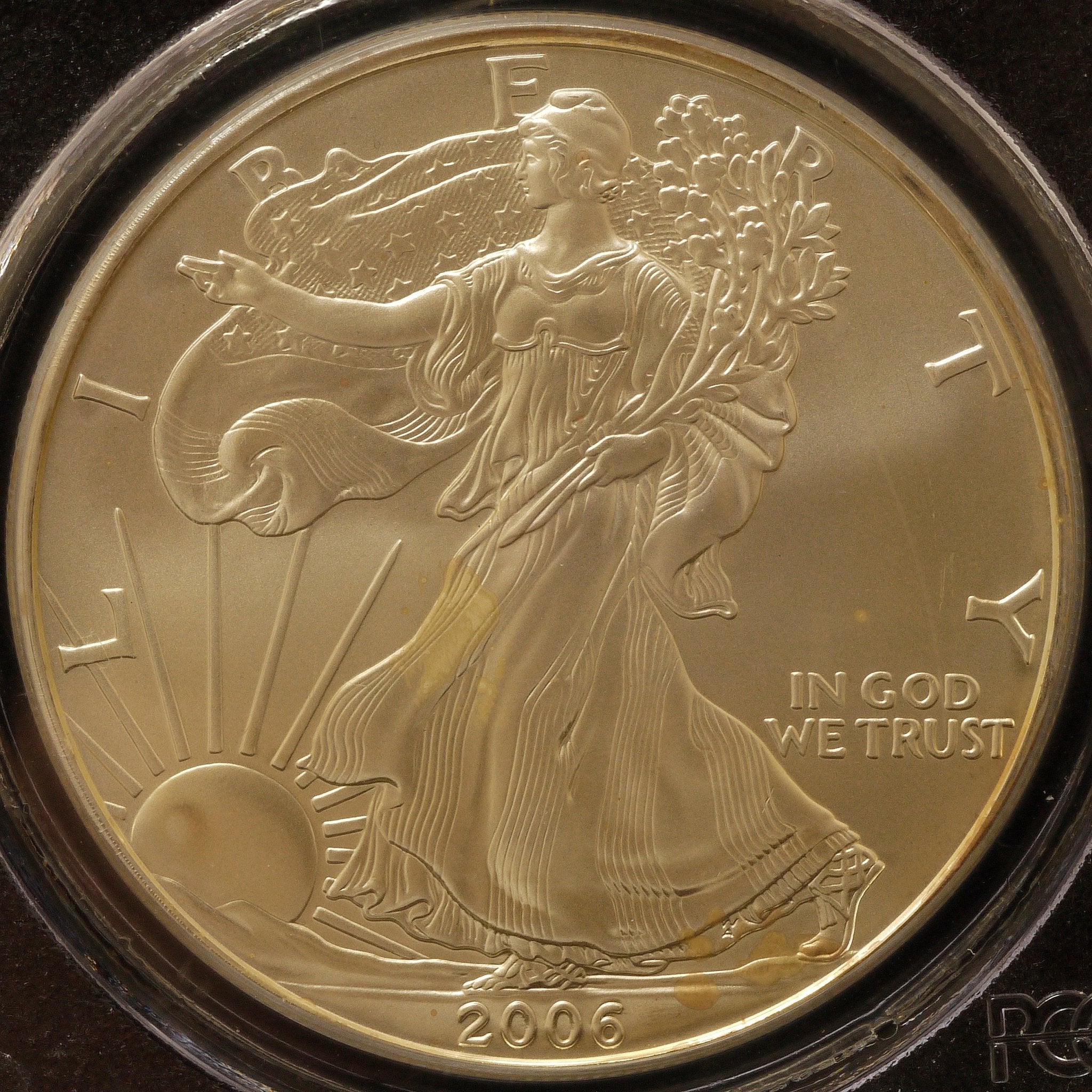アメリカ 1ドル銀貨 2006年 ウェストポイント鋳 イーグル PCGS MS69 - NJ BUYER'S MARKETPLACE