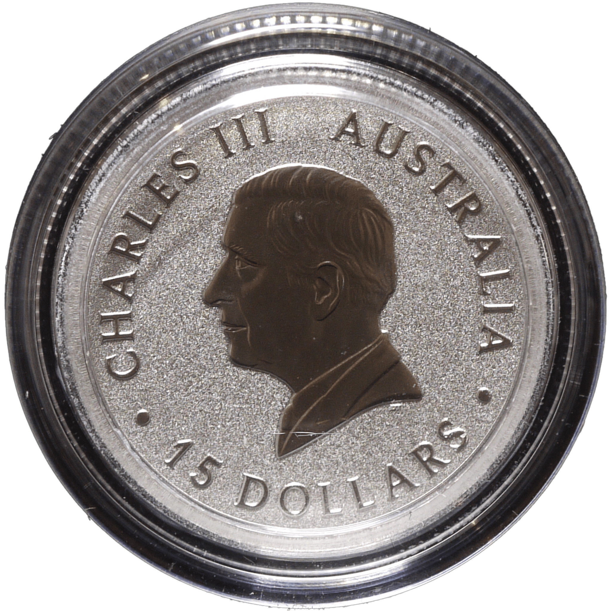 【1周年記念限定品】オーストラリア 15ドルプラチナ貨 2025年 パース鋳 ワライカワセミ チャールズ3世 - NJ BUYER'S MARKETPLACE