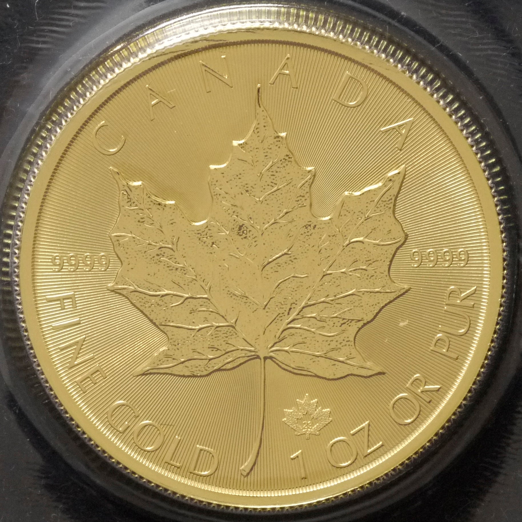 カナダ 50ドル金貨 2023年 メイプルリーフ エリザベス2世 未開封 - NJ BUYER'S MARKETPLACE