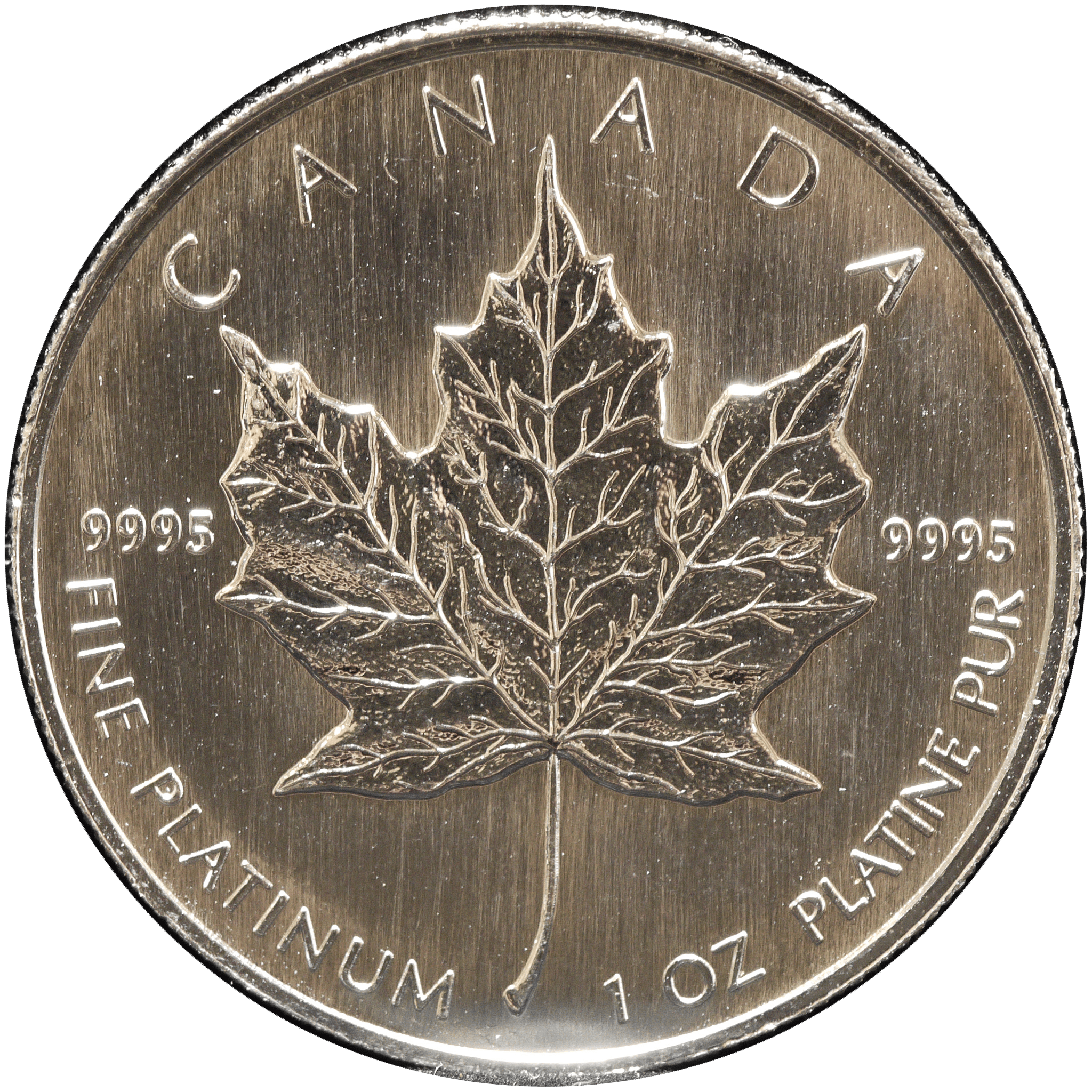 カナダ 50ドルプラチナ貨 1999年 オタワ鋳 メイプルリーフ 稀少年号