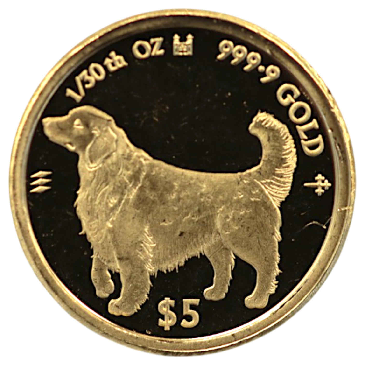 クック島 5ドル金貨 2023年 犬 エリザベス2世