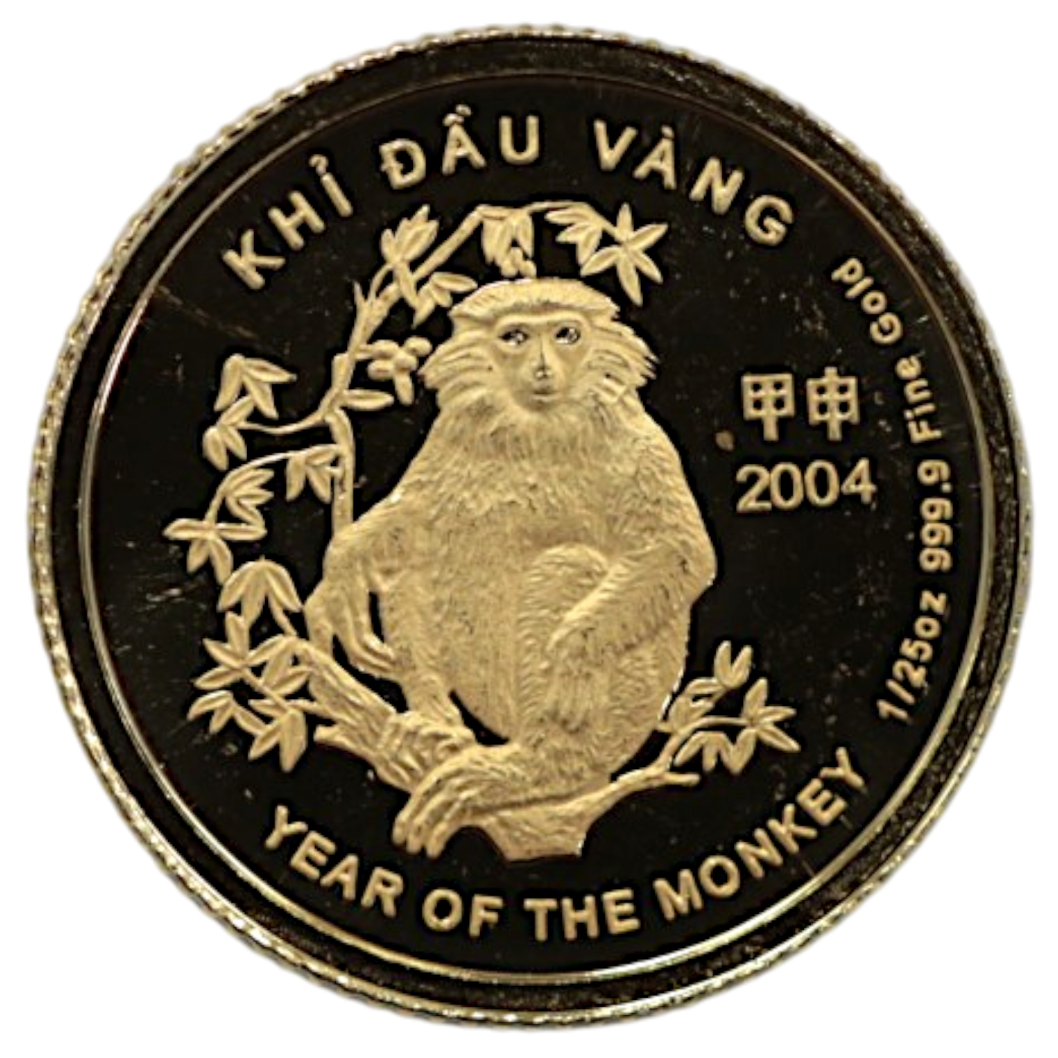 ベトナム 5000ドン金貨 2004年 干支 猿