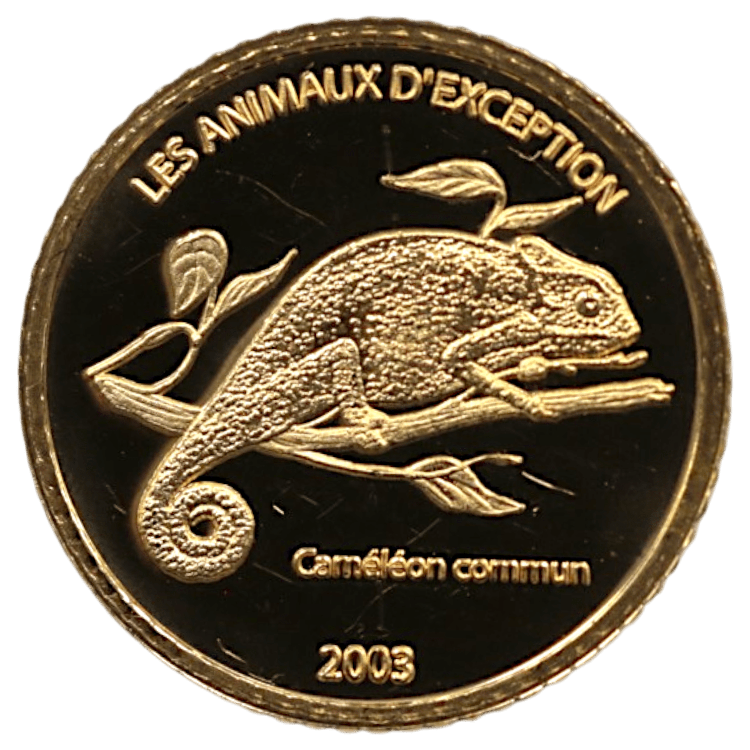 コンゴ 20フラン金貨 2023年 カメレオン - NJ BUYER'S MARKETPLACE