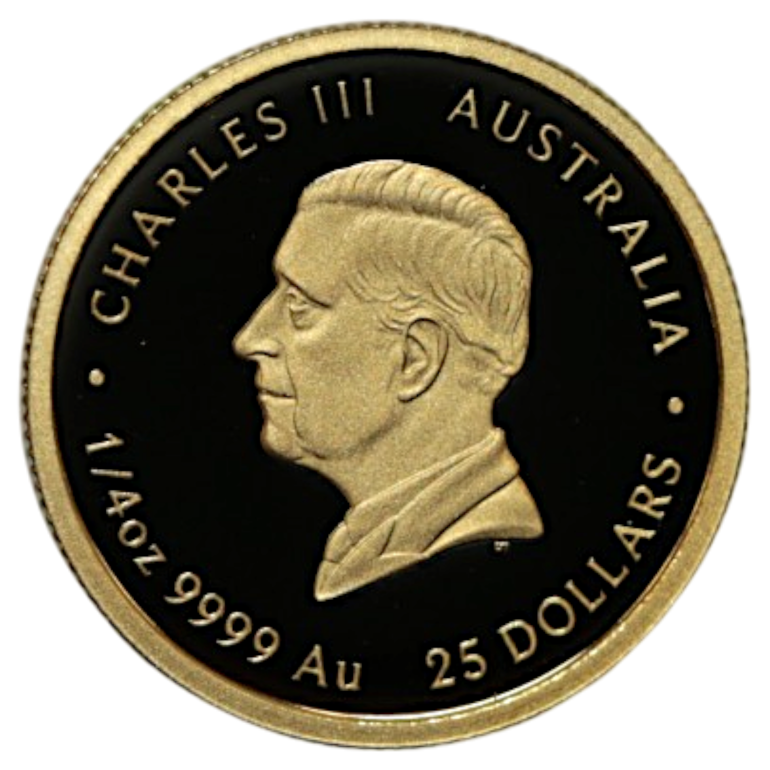 オーストラリア 25ドル金貨 2025年 パース鋳 干支 蛇 チャールズ3世