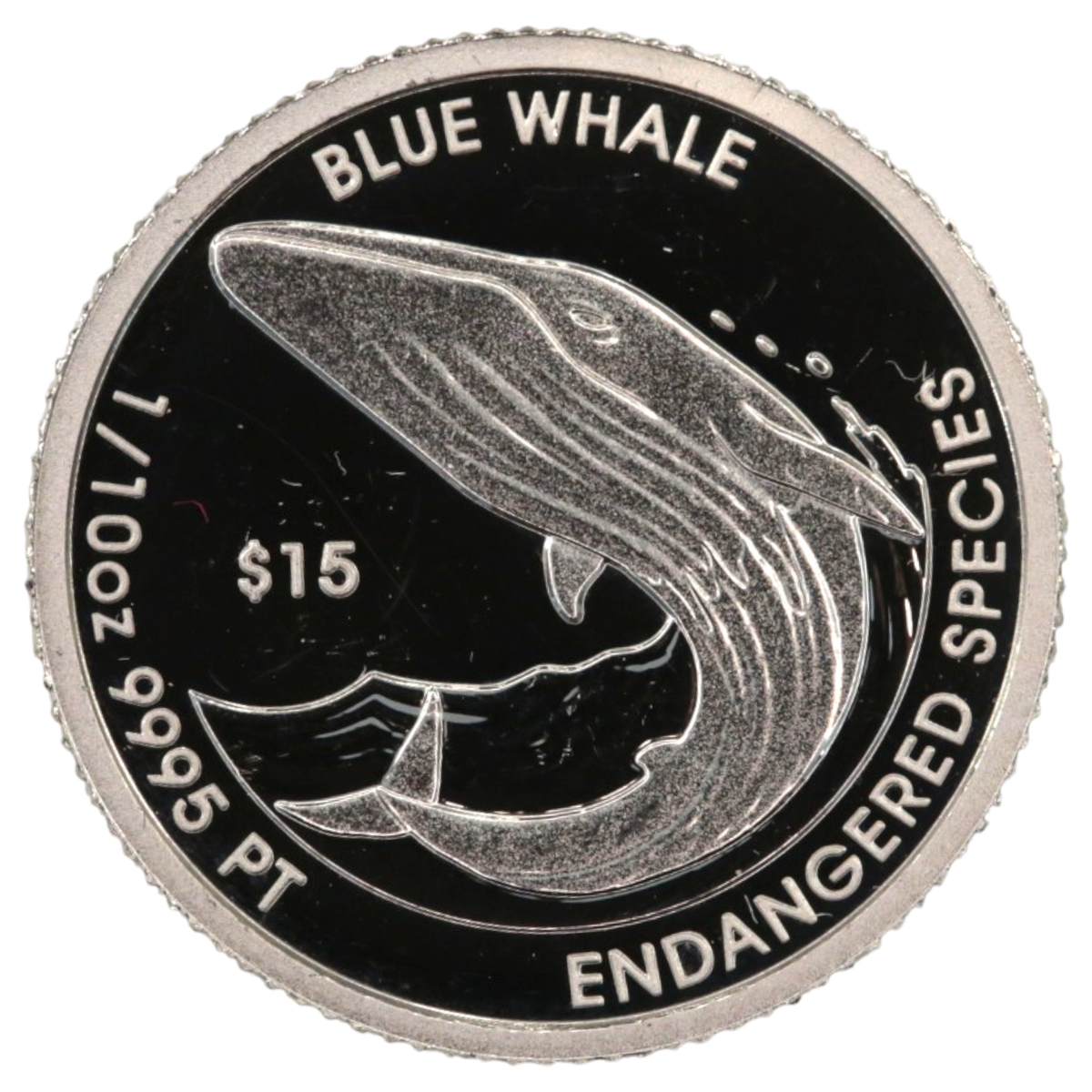 ツバル 15ドルプラチナ貨 2026年 クジラ