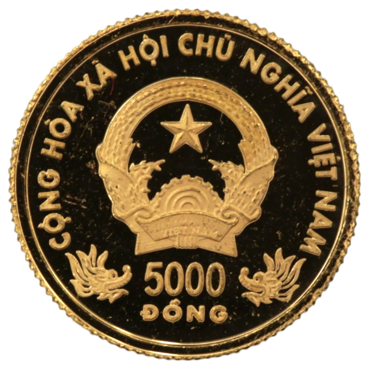 ベトナム 5000ドン金貨 2000年 干支 辰年