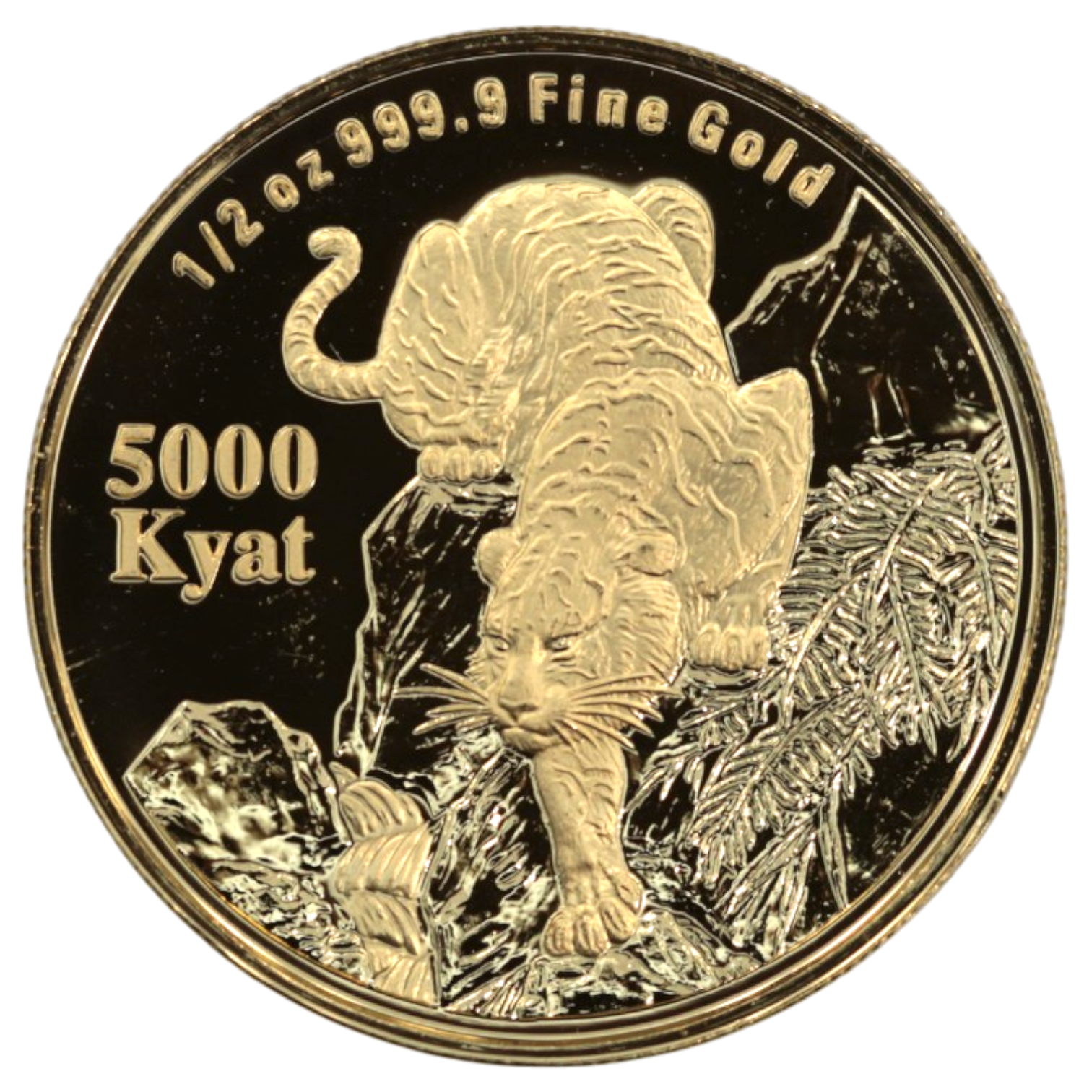 ミャンマー 5000チャット金貨 シンガポール鋳 1998年 虎
