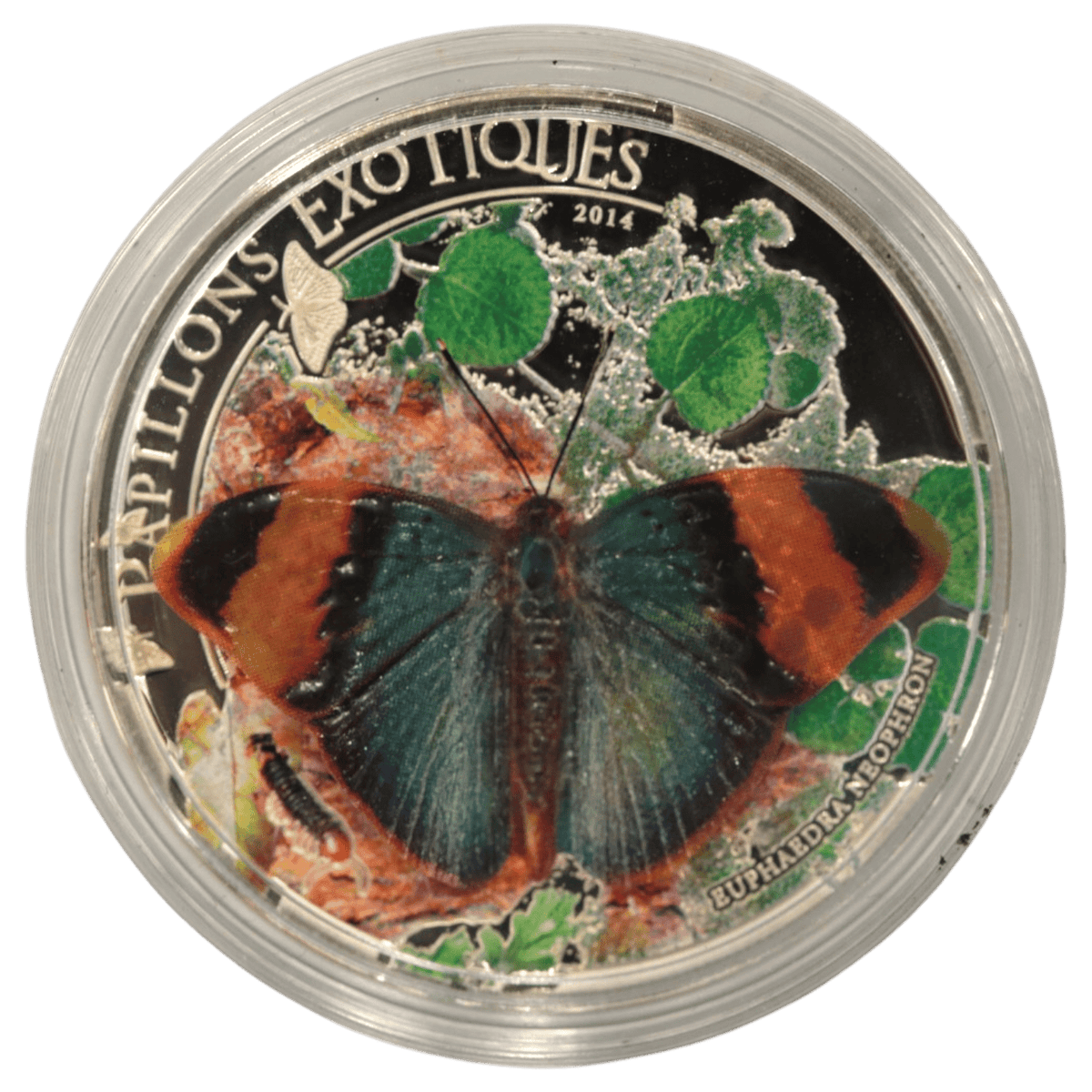 中央アフリカ 1000フラン銀貨 2014年 ヒメボカシタテハ - NJ BUYER'S MARKETPLACE