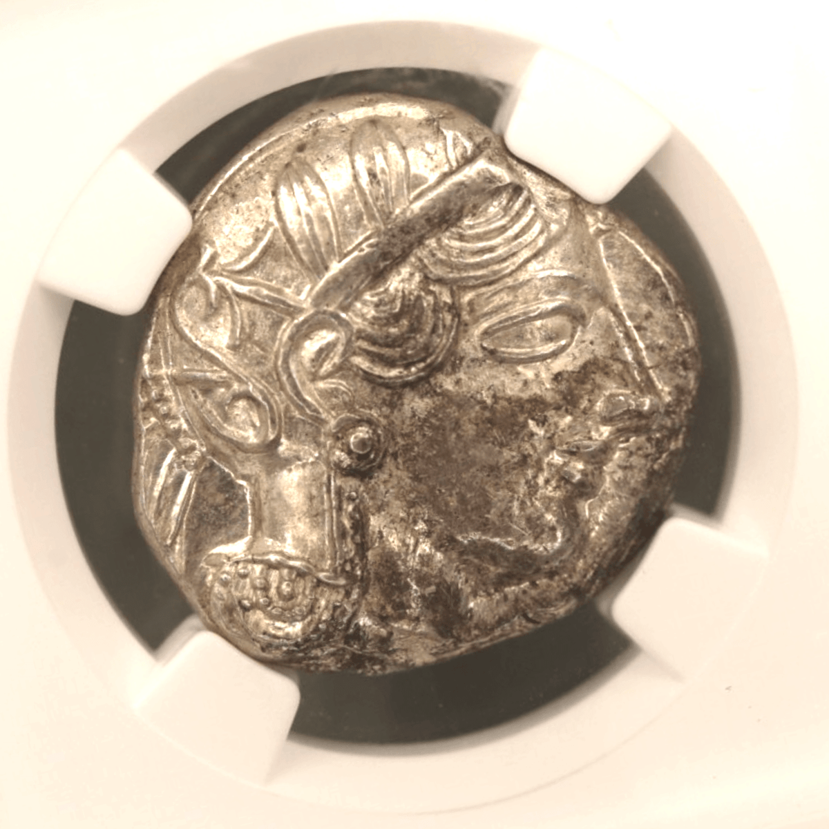 アテナイ テトラドラクマ銀貨 コキンメフクロウ NGC MS 5/5 4/5 - NJ BUYER'S MARKETPLACE