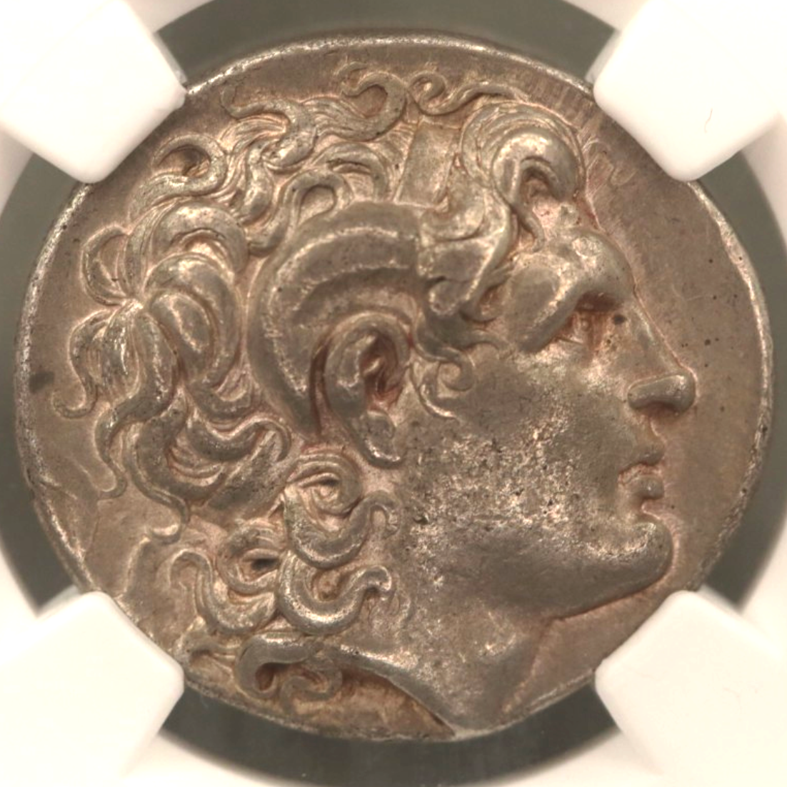 トラキア テトラドラクマ銀貨 前305～前281年 アレクサンドロス大王 NGC Ch-VF 5/5 3/5
